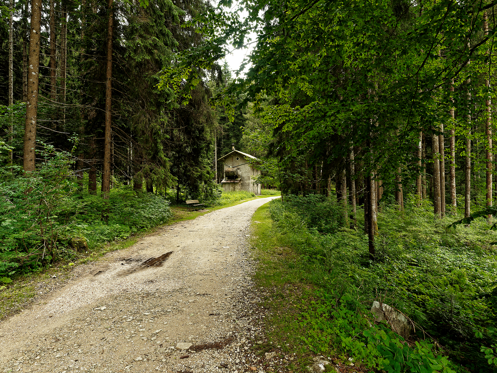 The path of the train