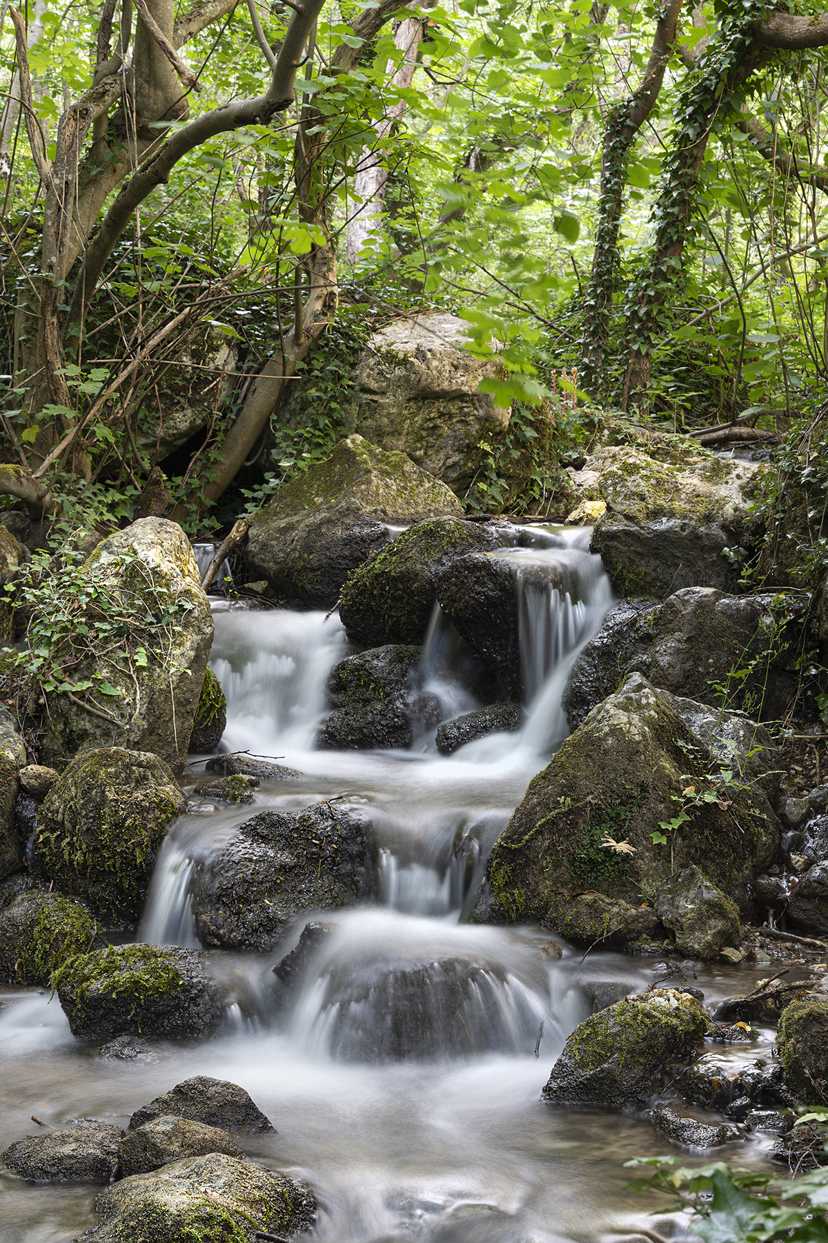 Sources of Sagittarius