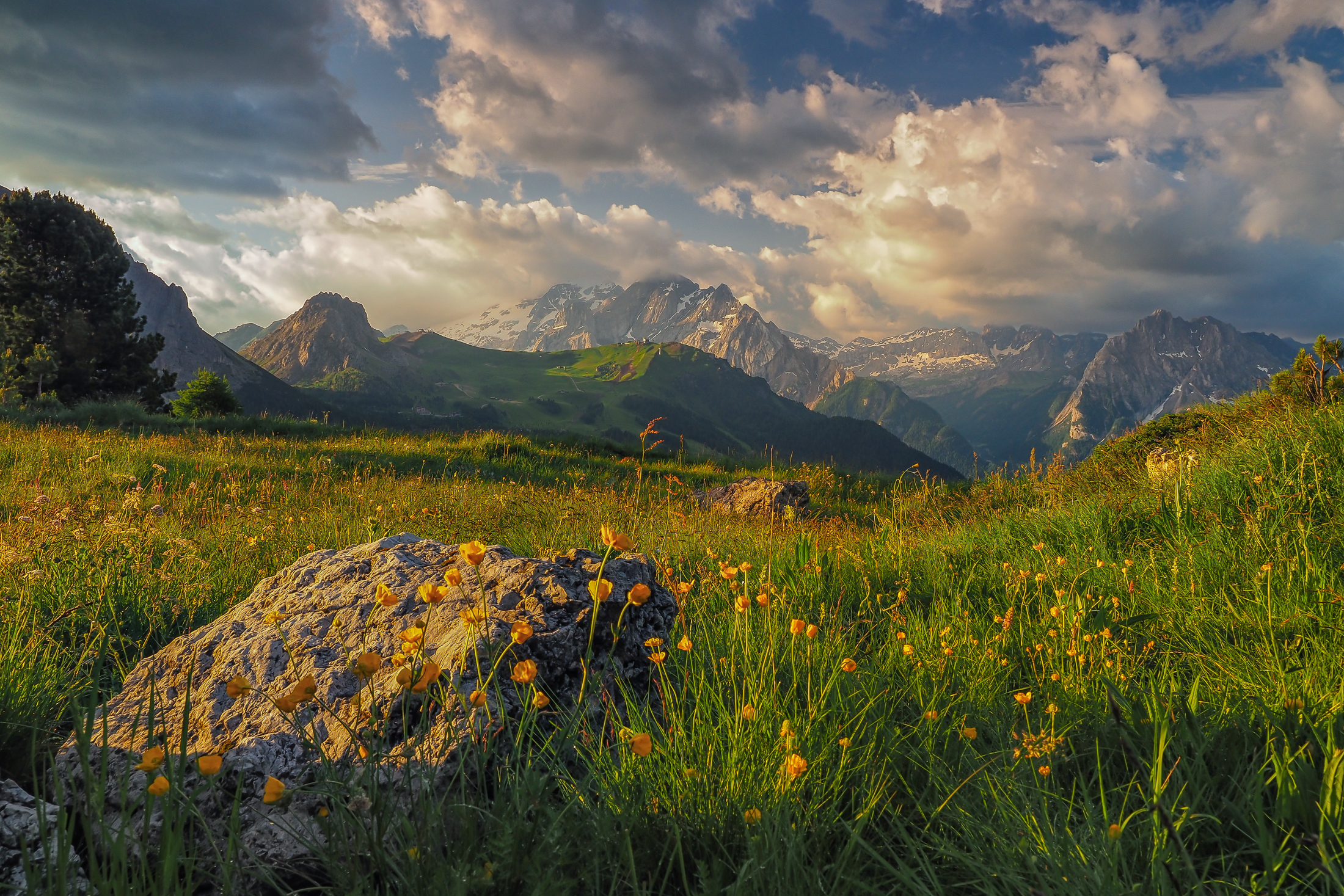 è sempre un bel vedere
