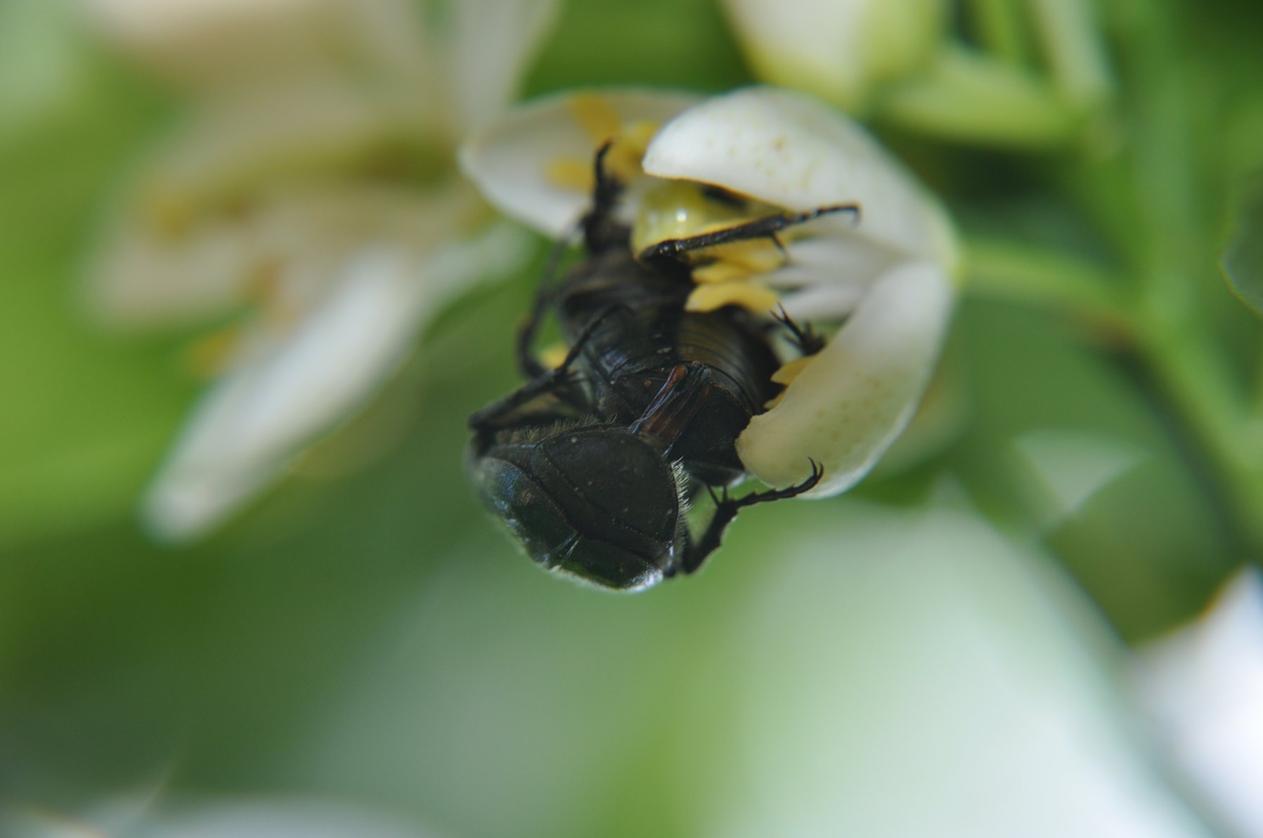 l'amore è una cosa complicata...