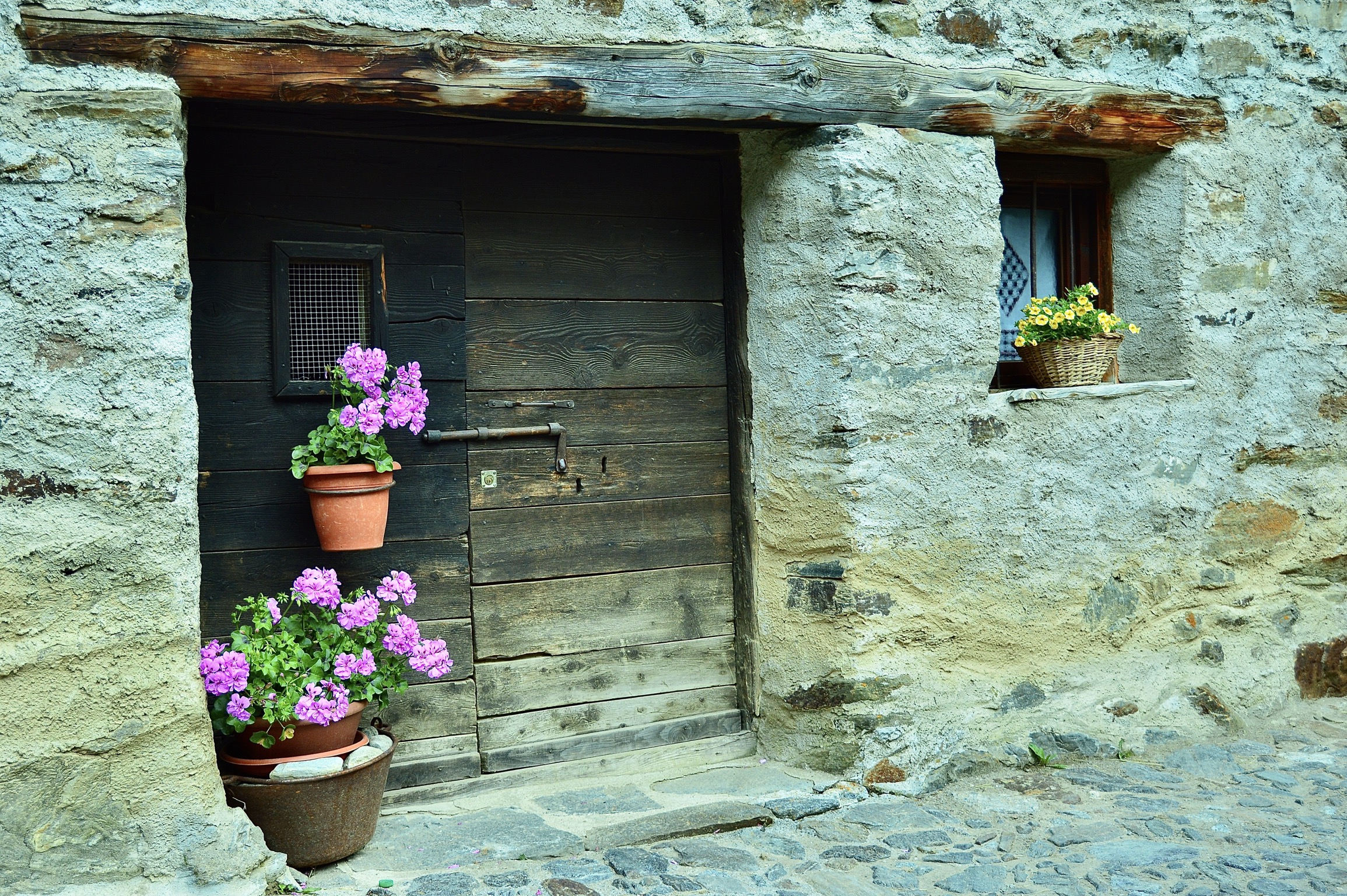 Case di Viso < Particolare>