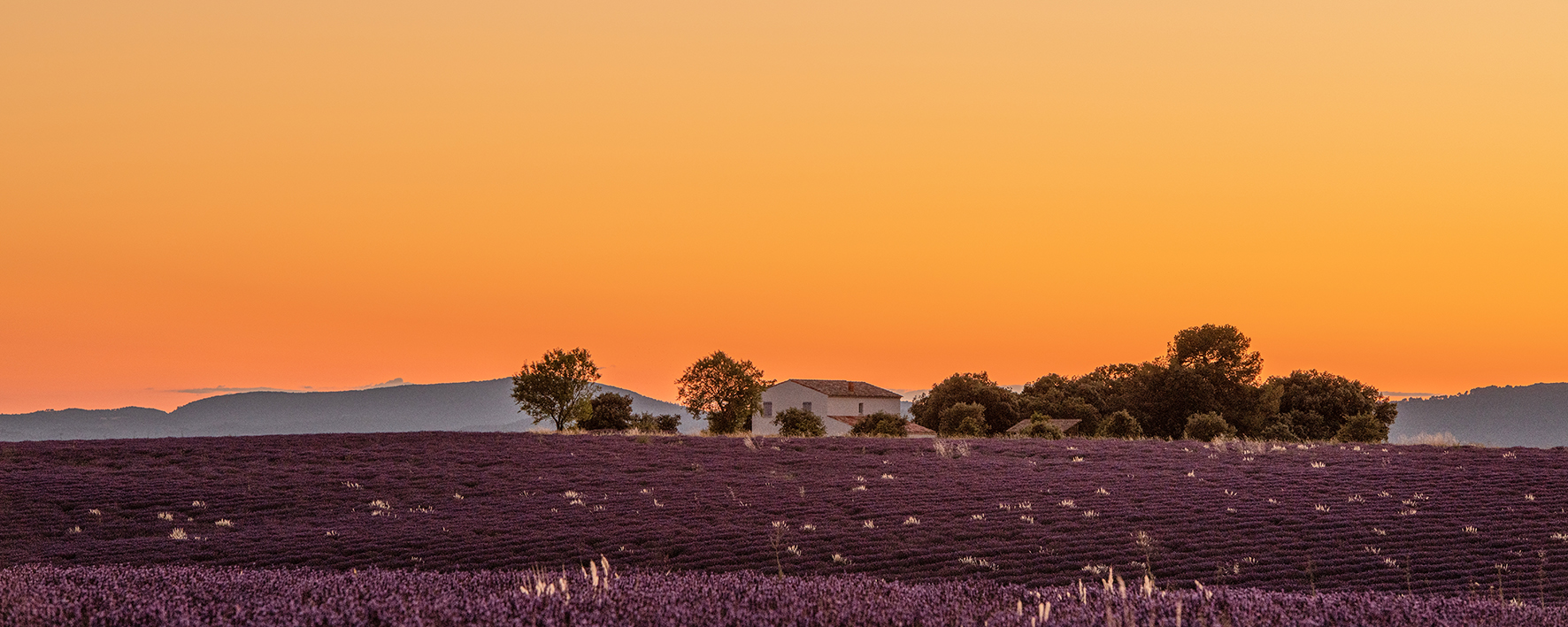 Morning in Provence!