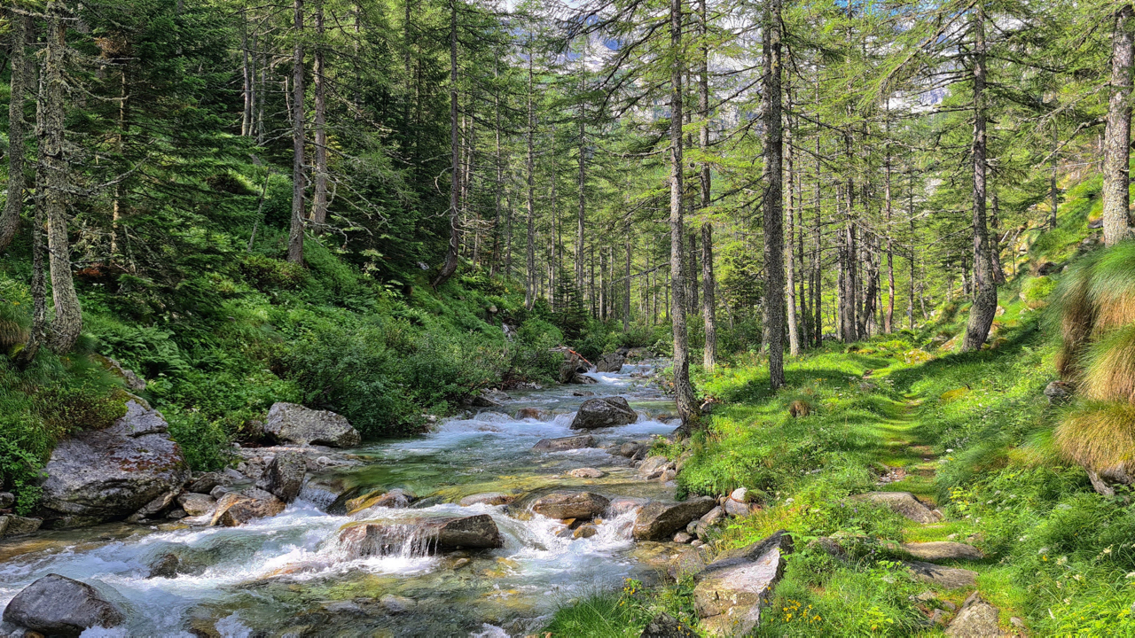 quiet corner in the mountains
