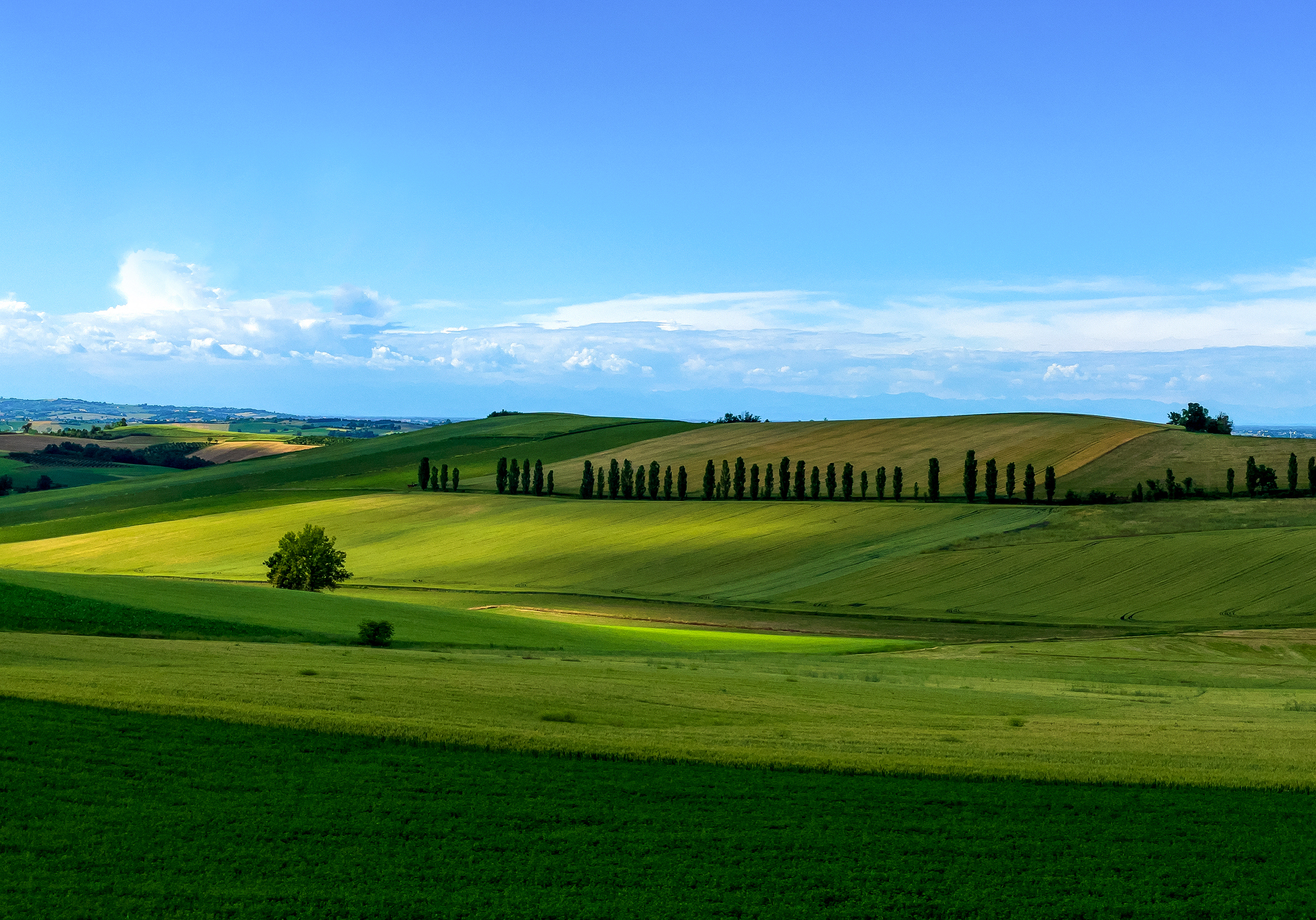 Monferrato Hills