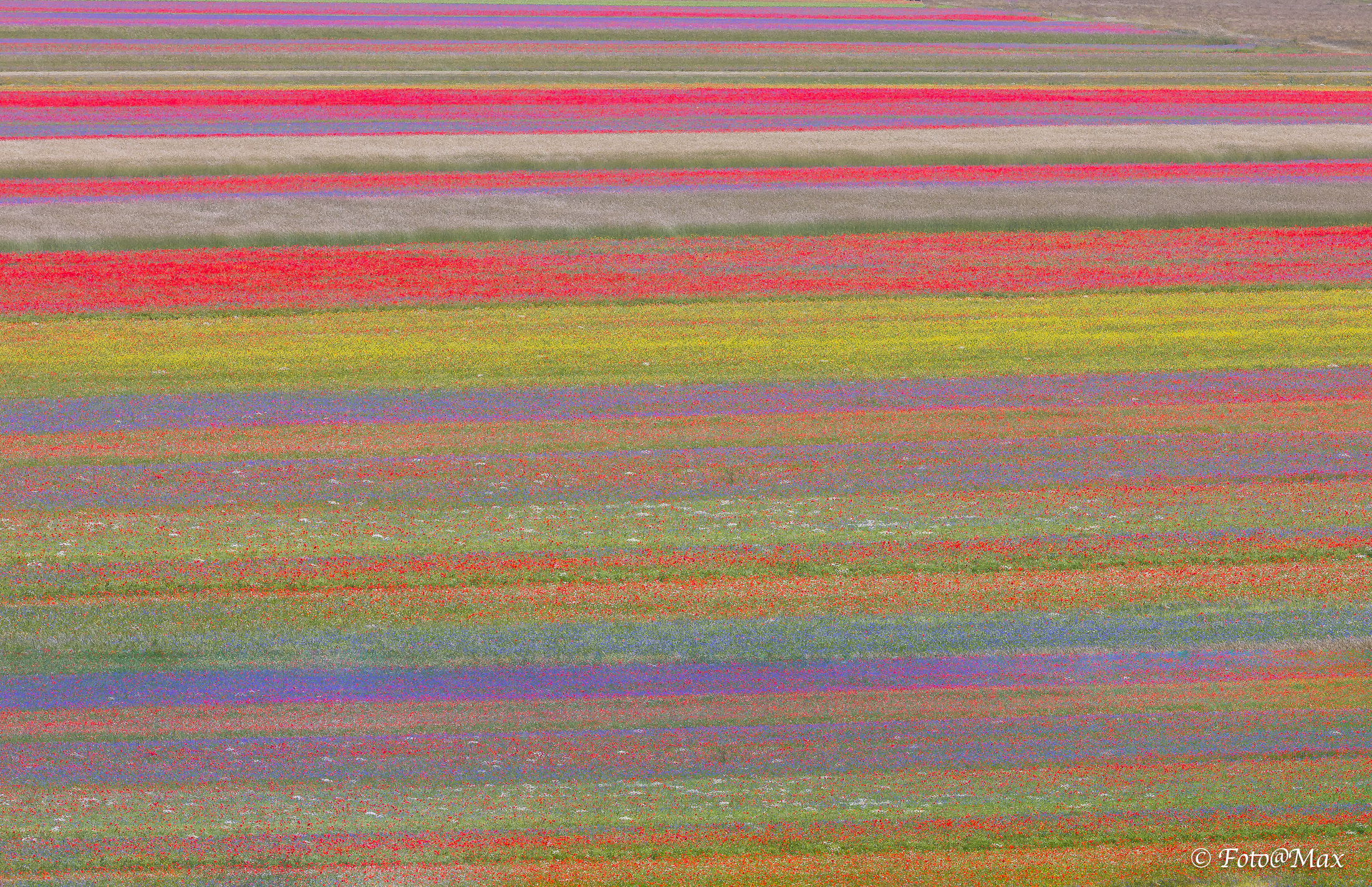 wonders of the Bel Paese !