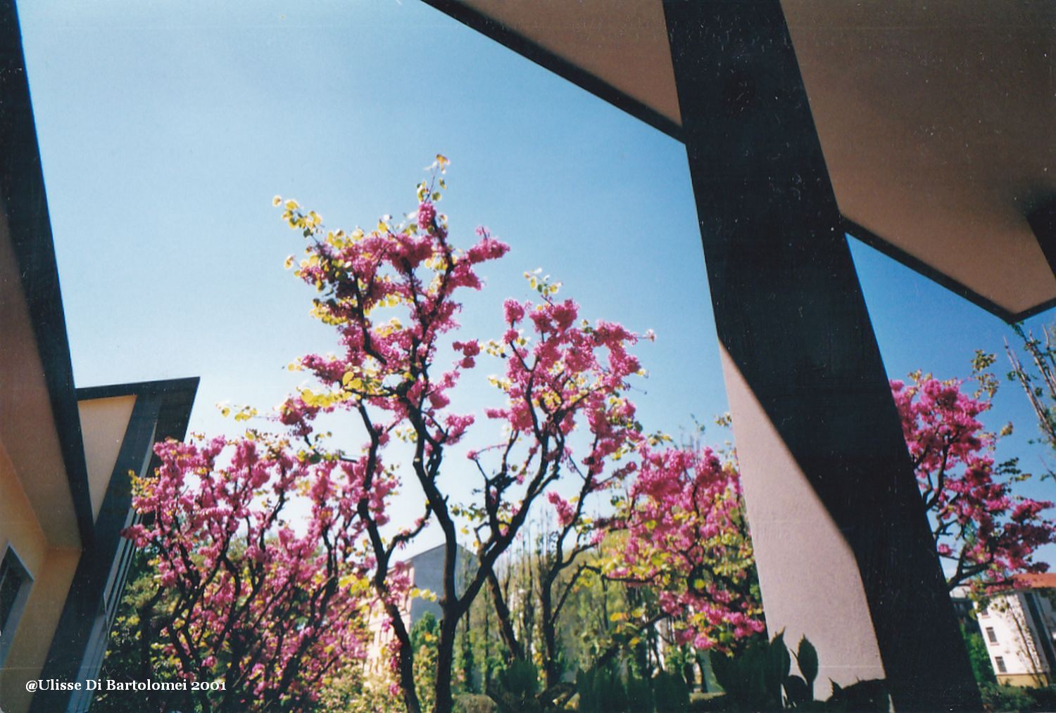 Geometries and colors