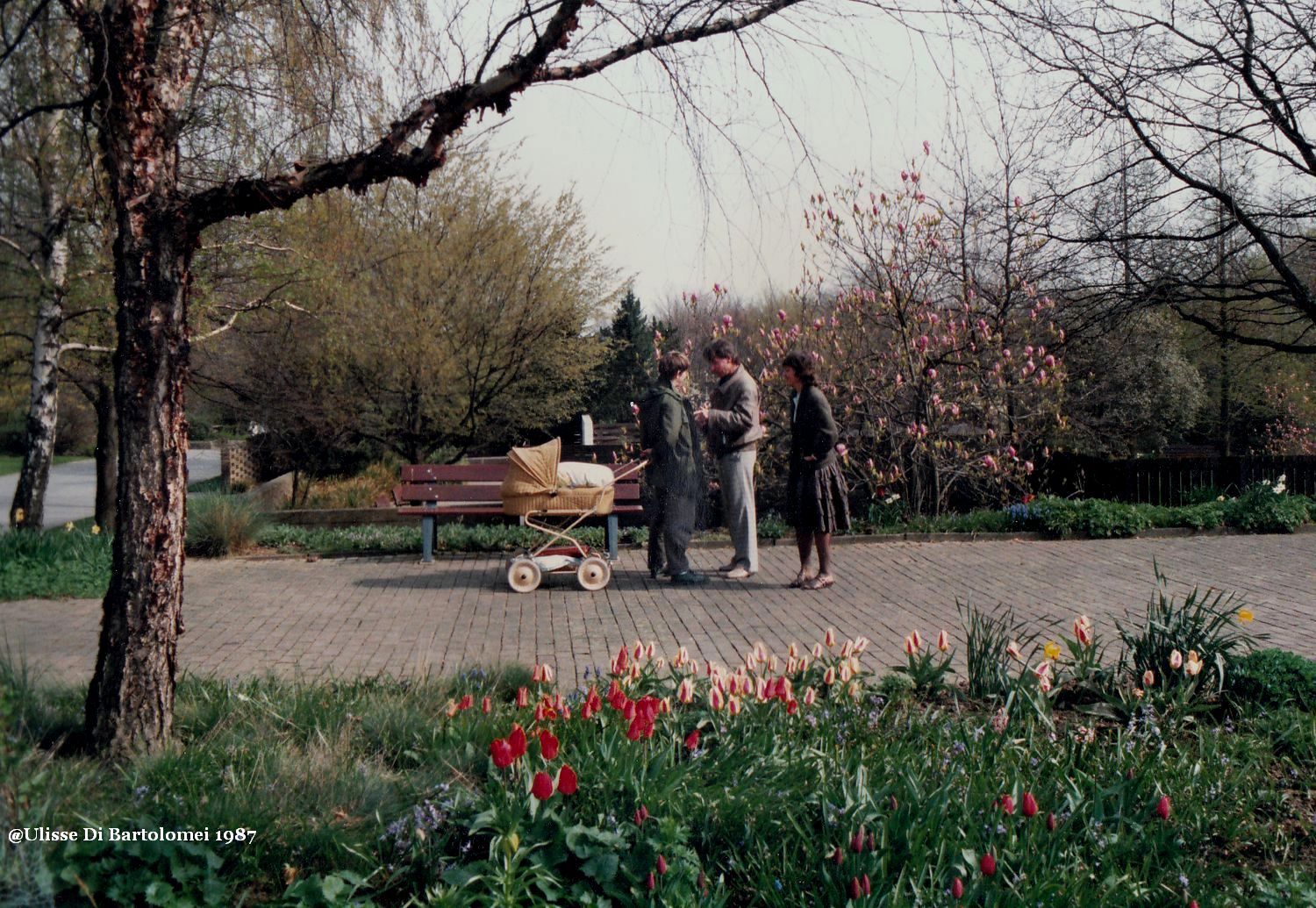 Parliamo di bambini...