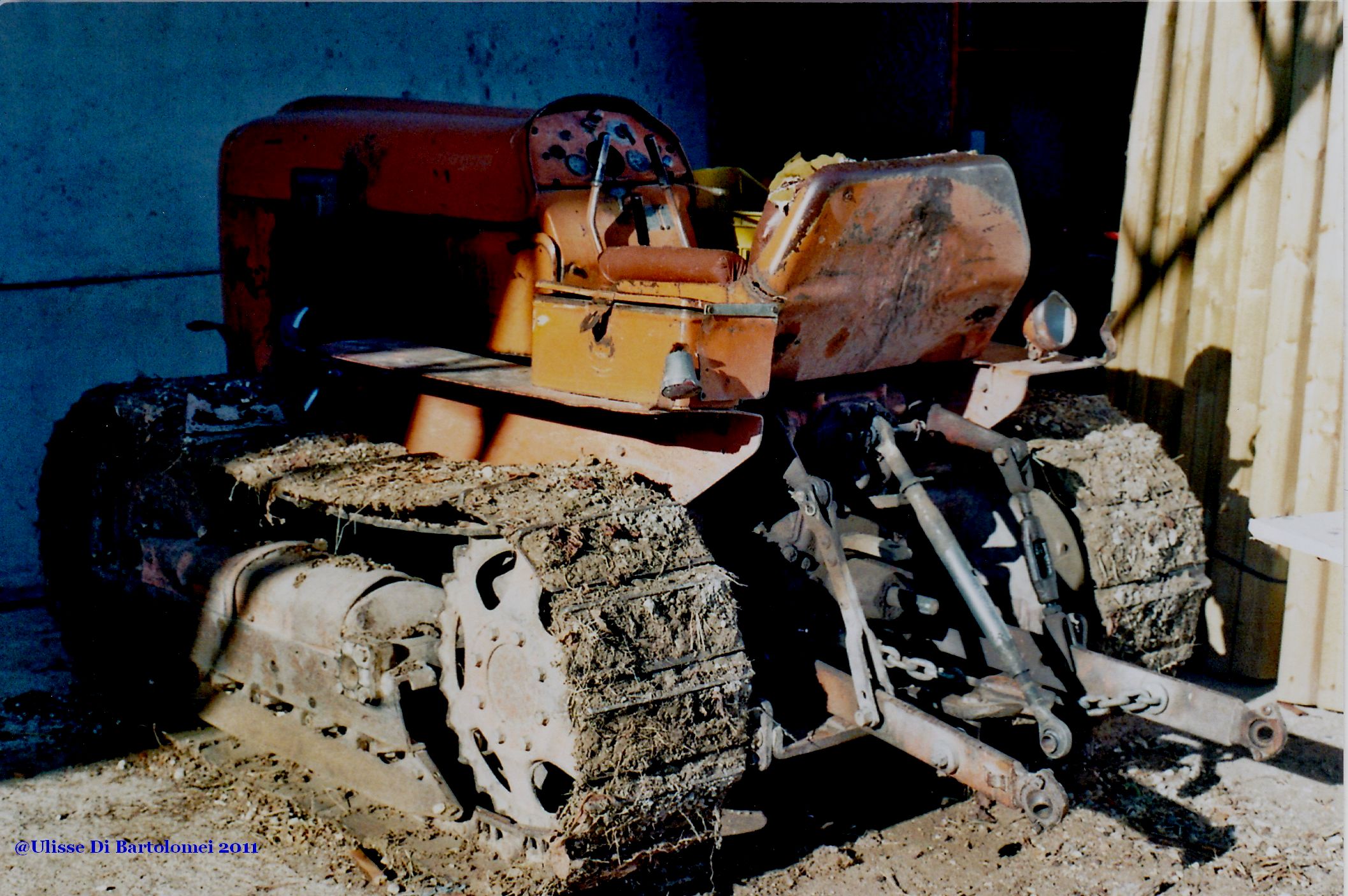 Il vecchio leone della fattoria, che mai tradì...