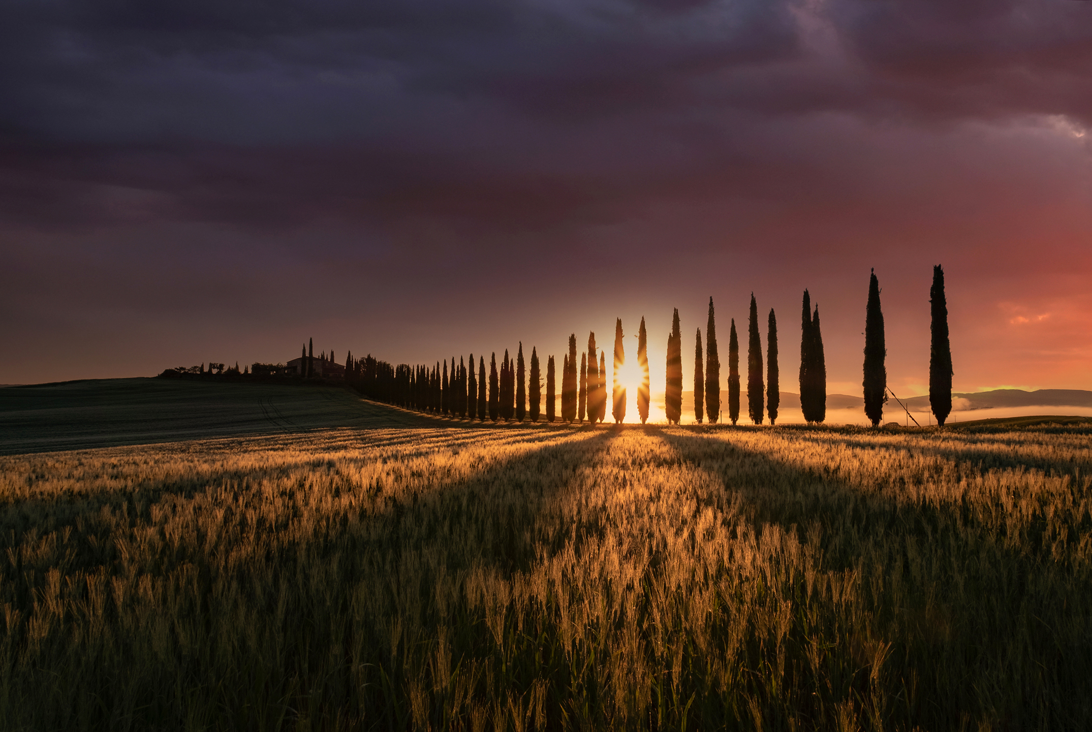 "un momento ... un attimo ... la bellezza "