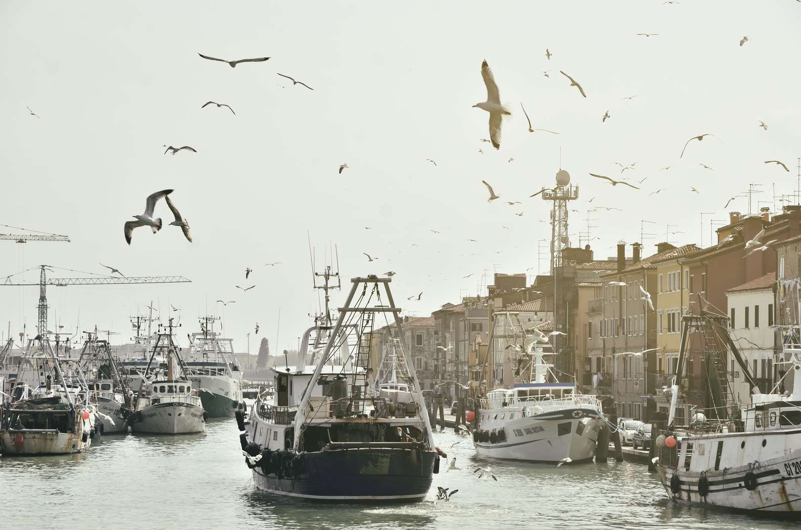 Il peschereccio in porto