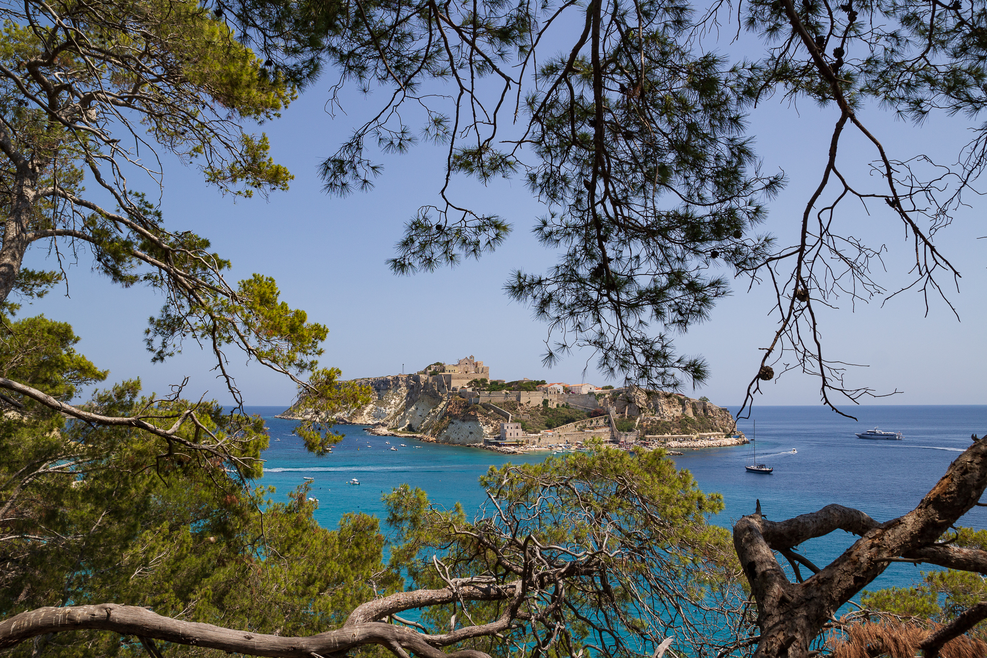 Postcard from the Quakes