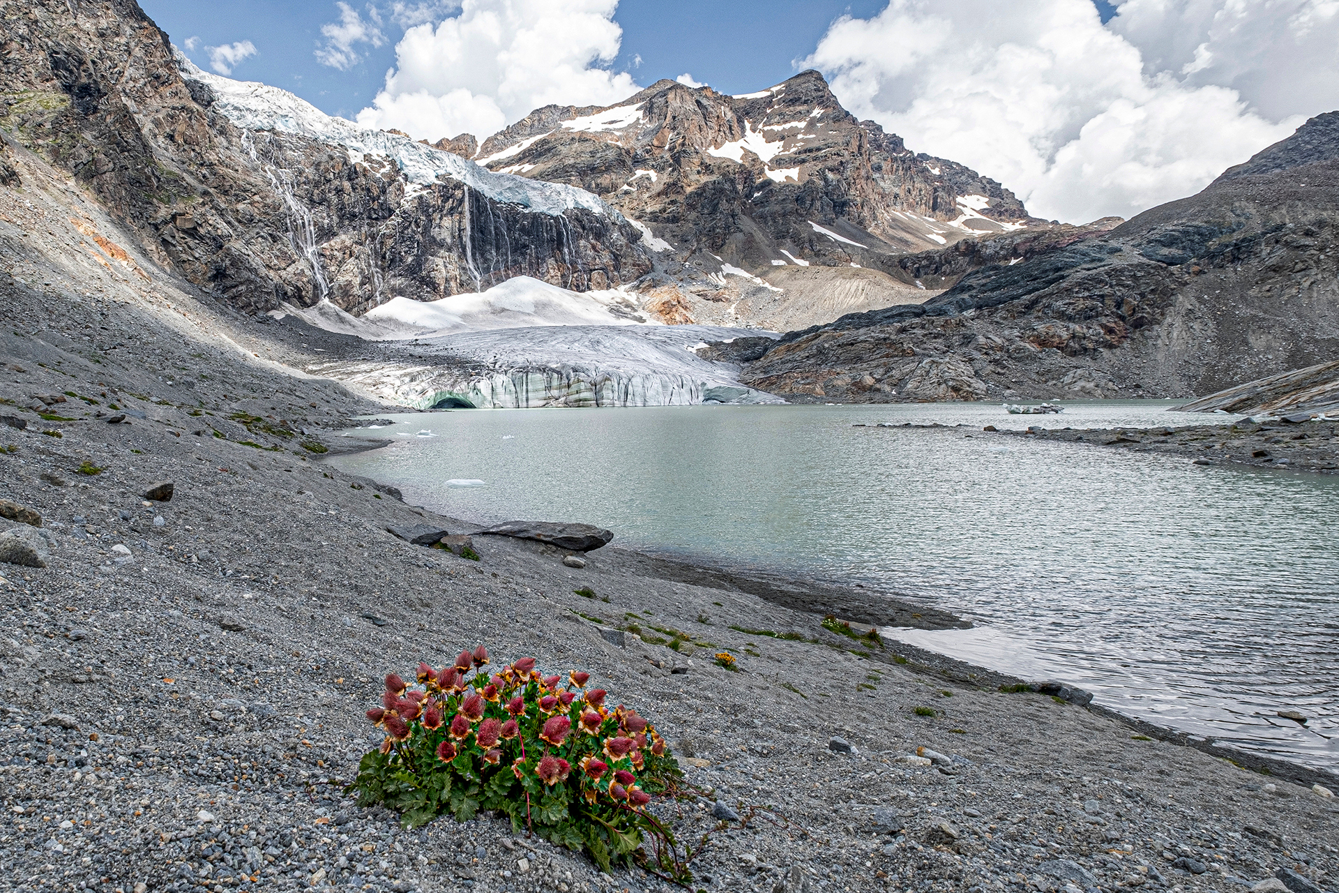 Ghiacciaio Fellaria Orientale.