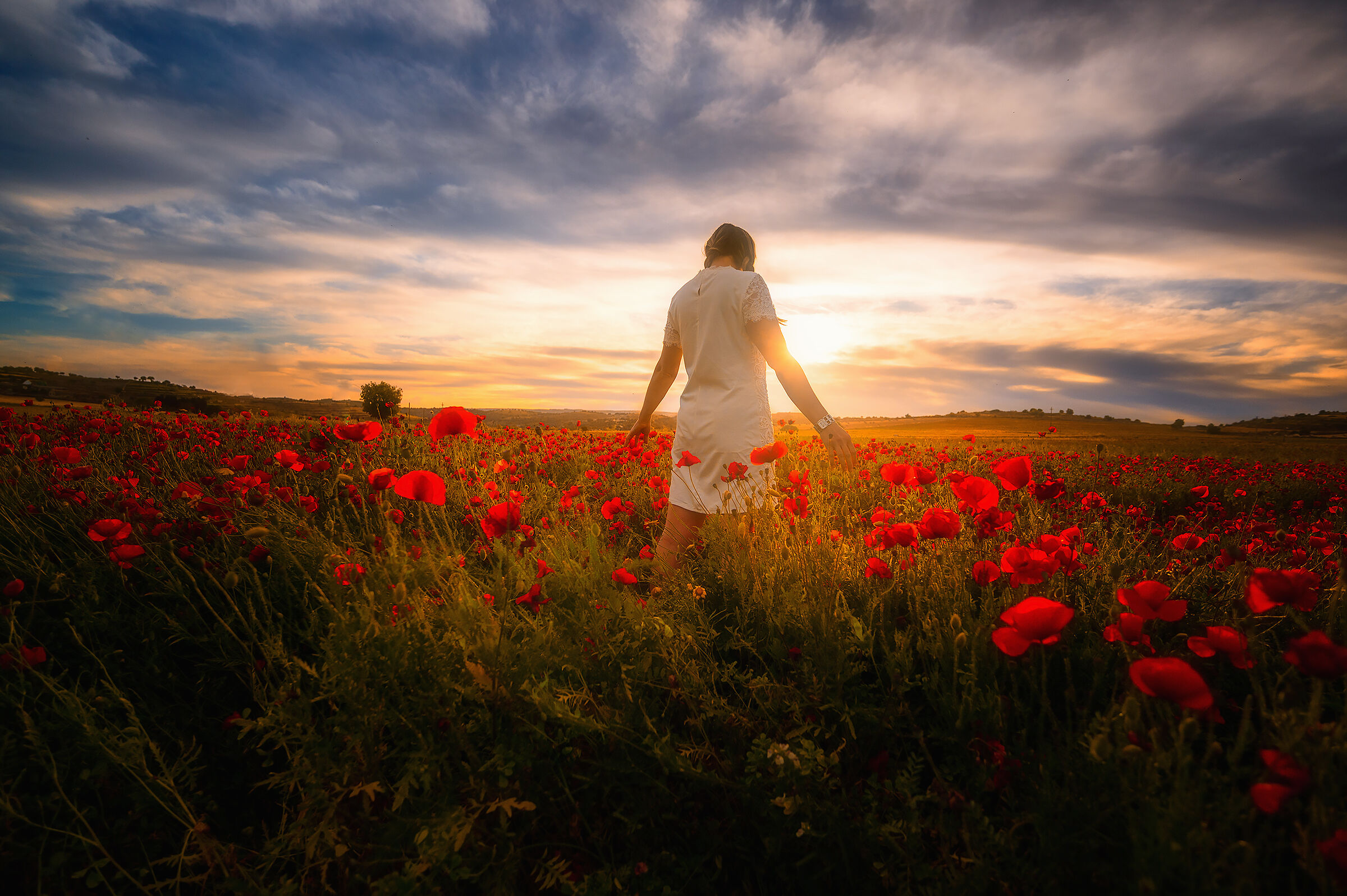 The Girl among the Poppies