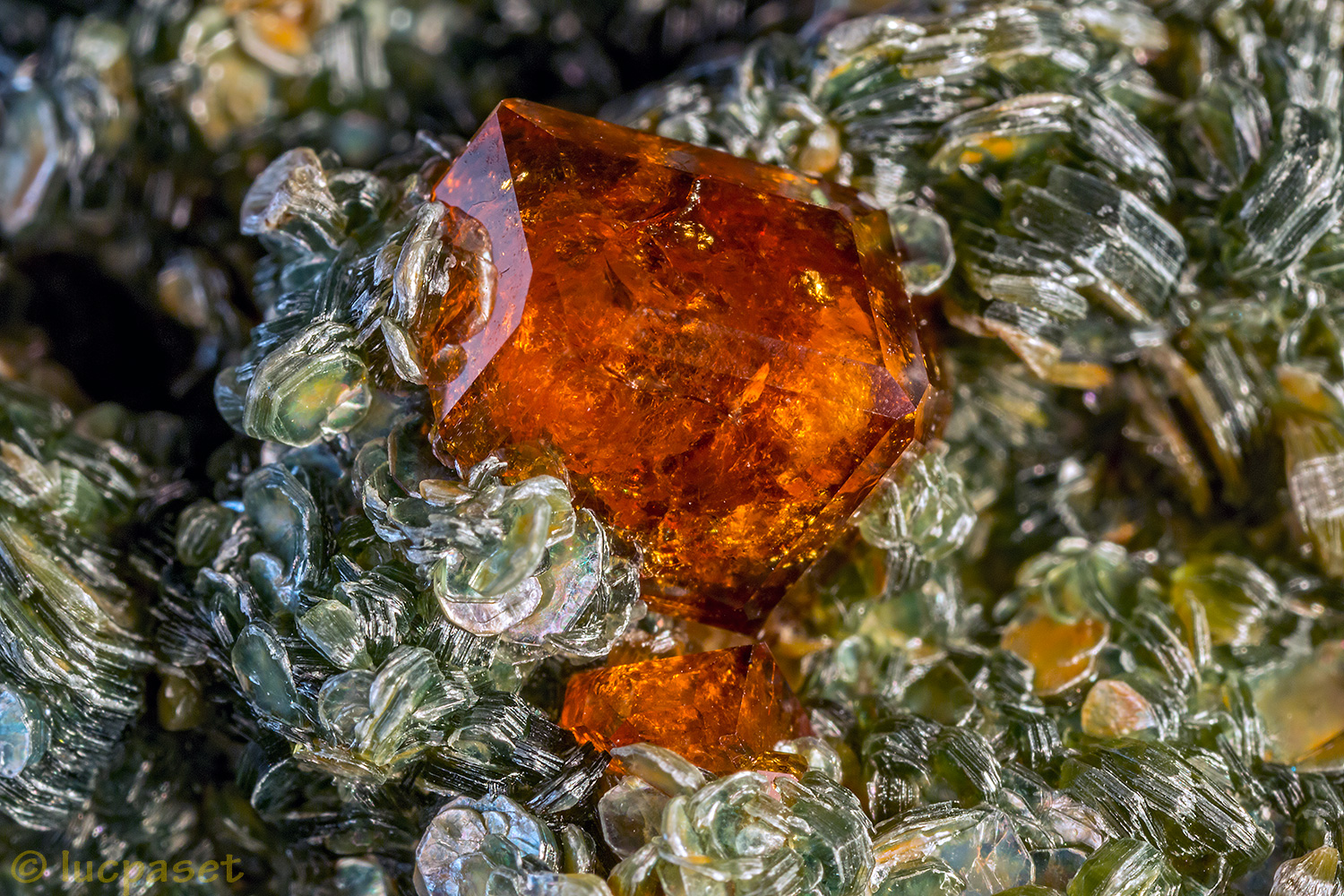 Garnet Grossularia on Clinochlor