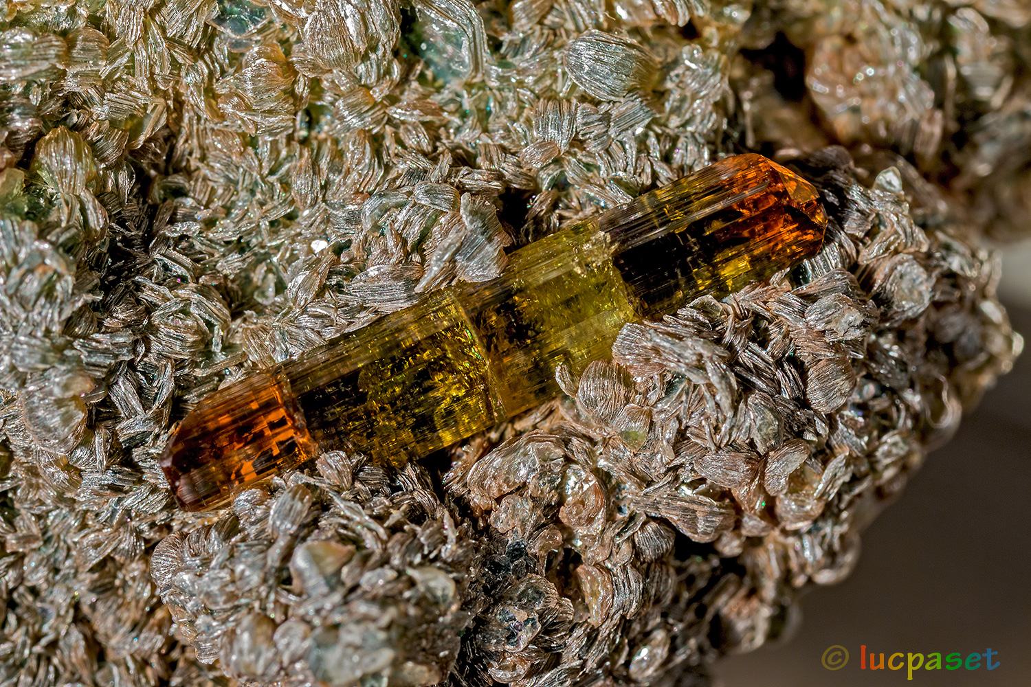 Vesuviana polychrome biterminate on Clinochloro