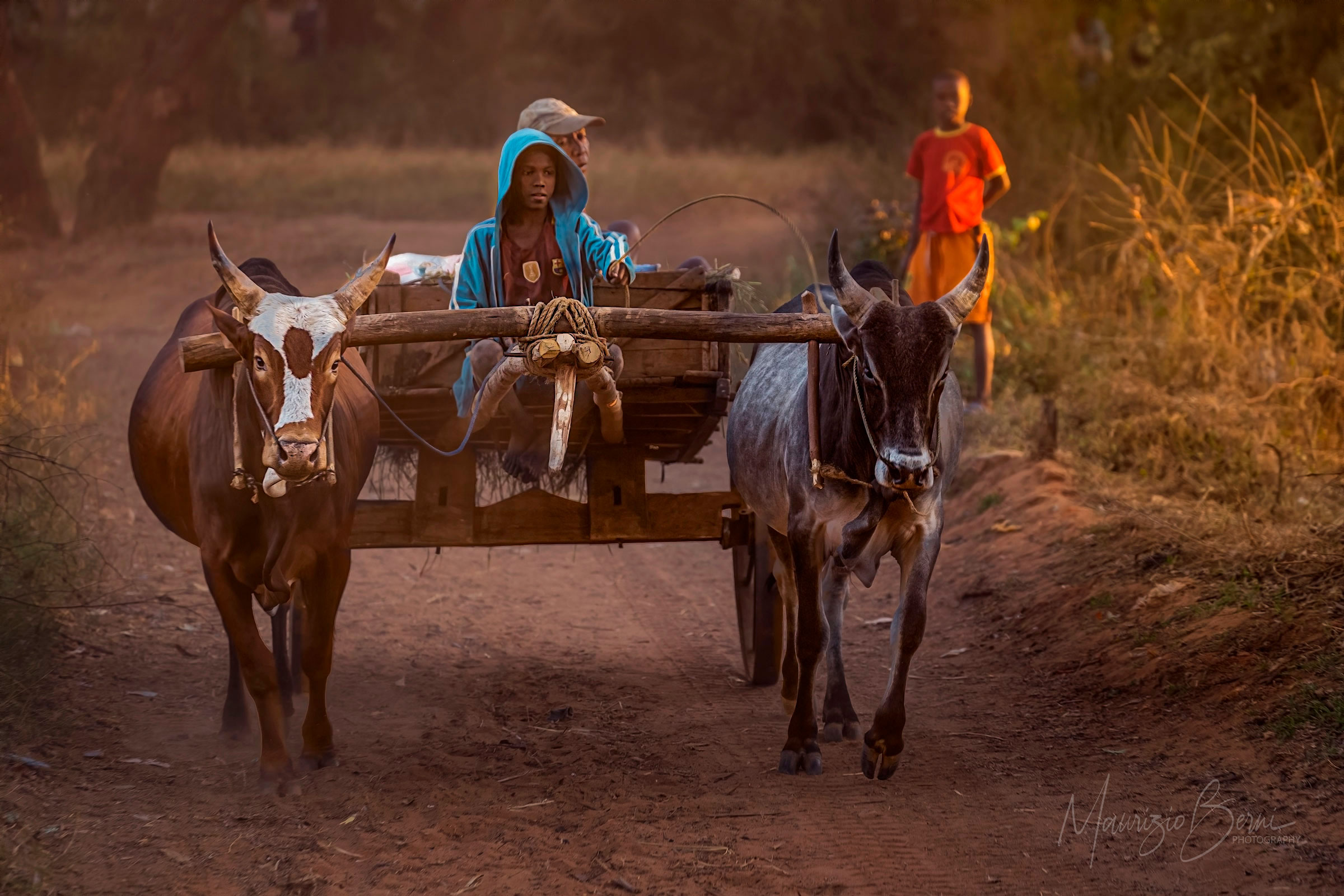 Madagascar, at nightfall