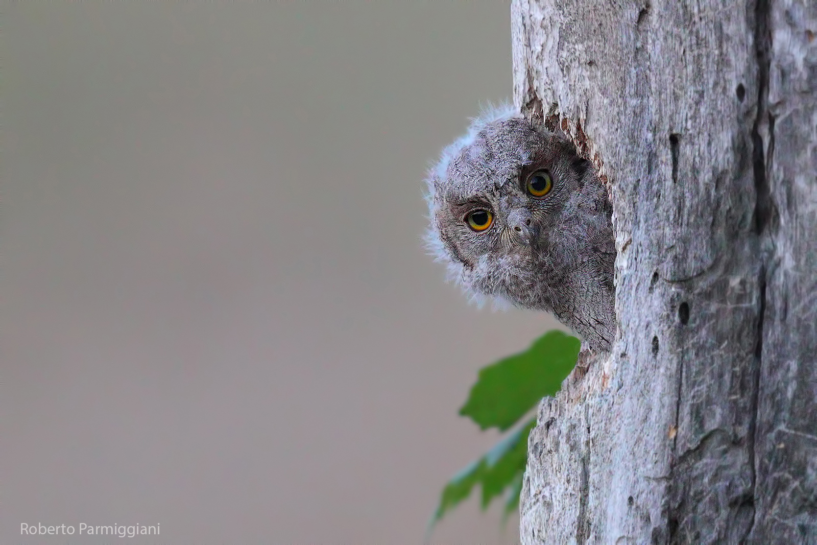 Primo approccio a una nuova vita