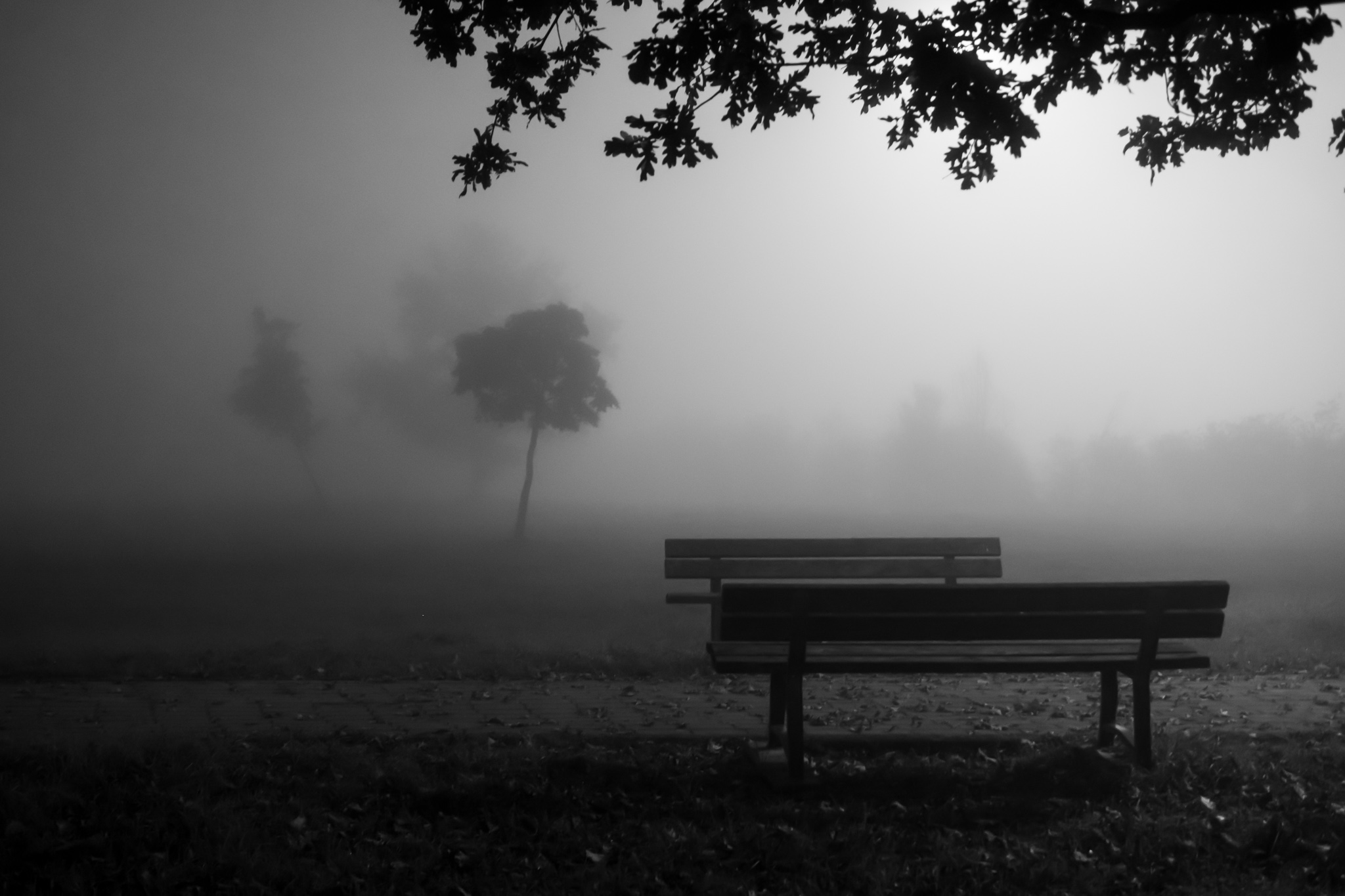 la nebbia è amica dei complotti . Ma Changsan