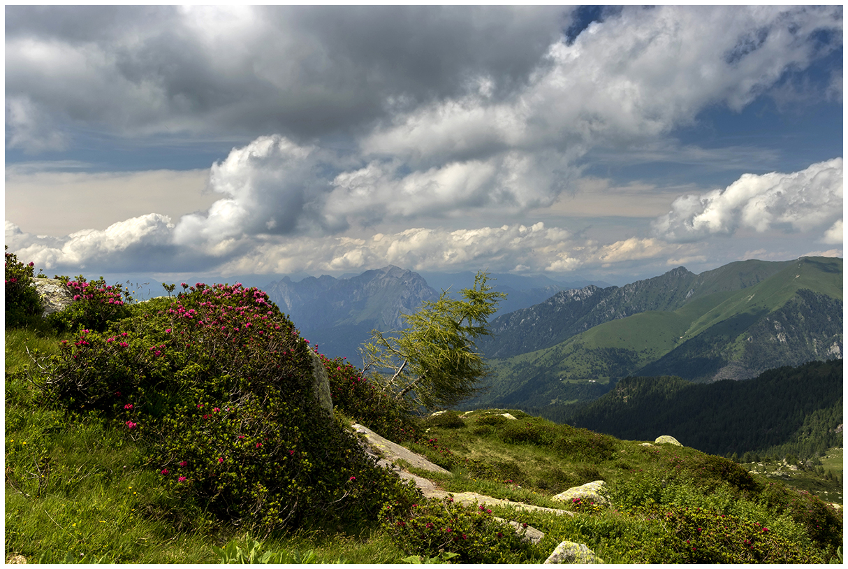 high lands trompia valley (BS)