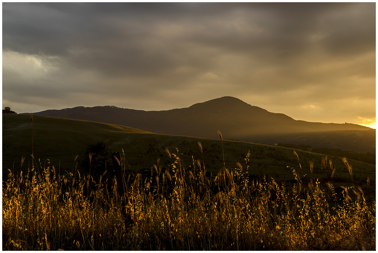 last ray of sunshine (Val d'Orcia)