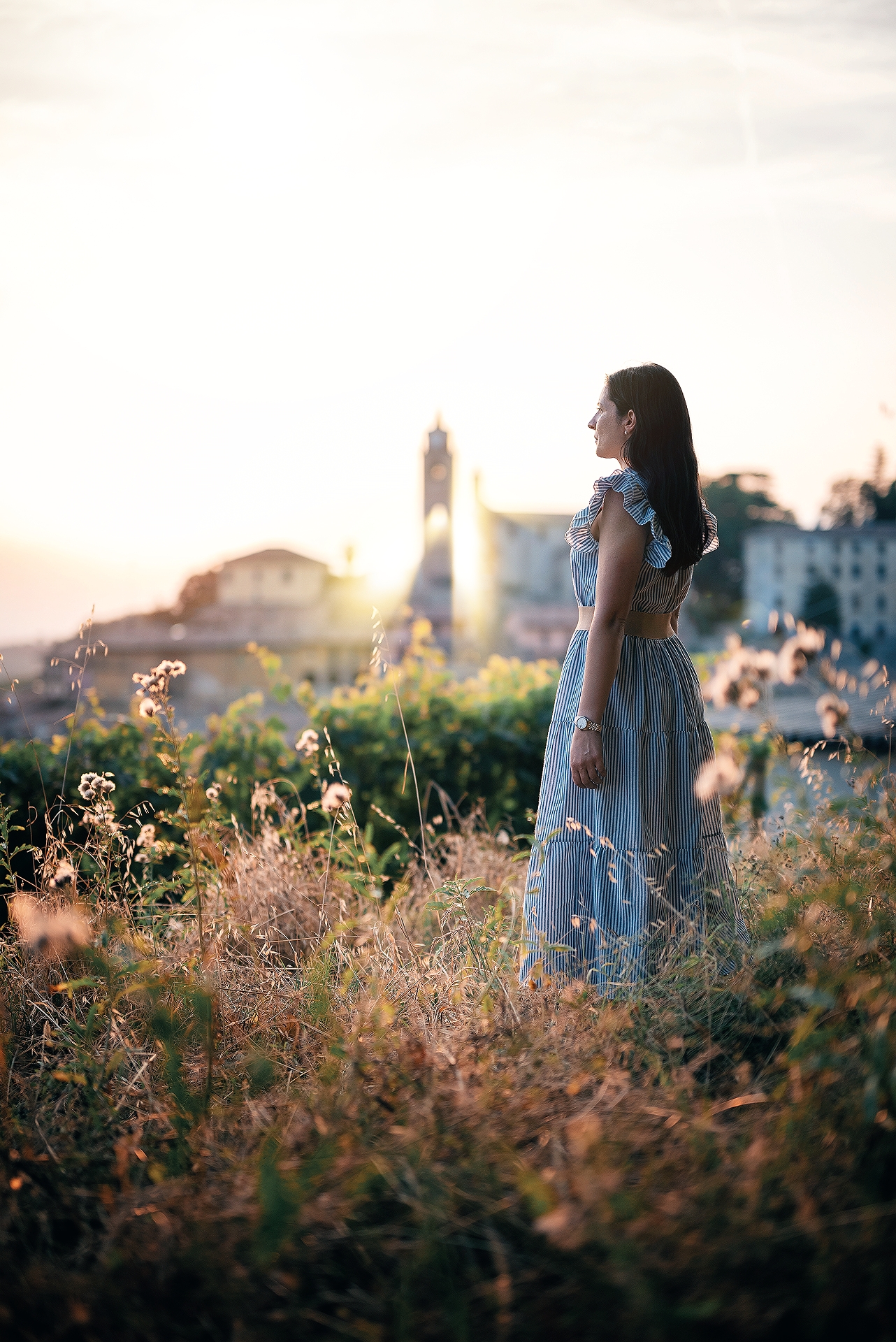Controluce tra le torri