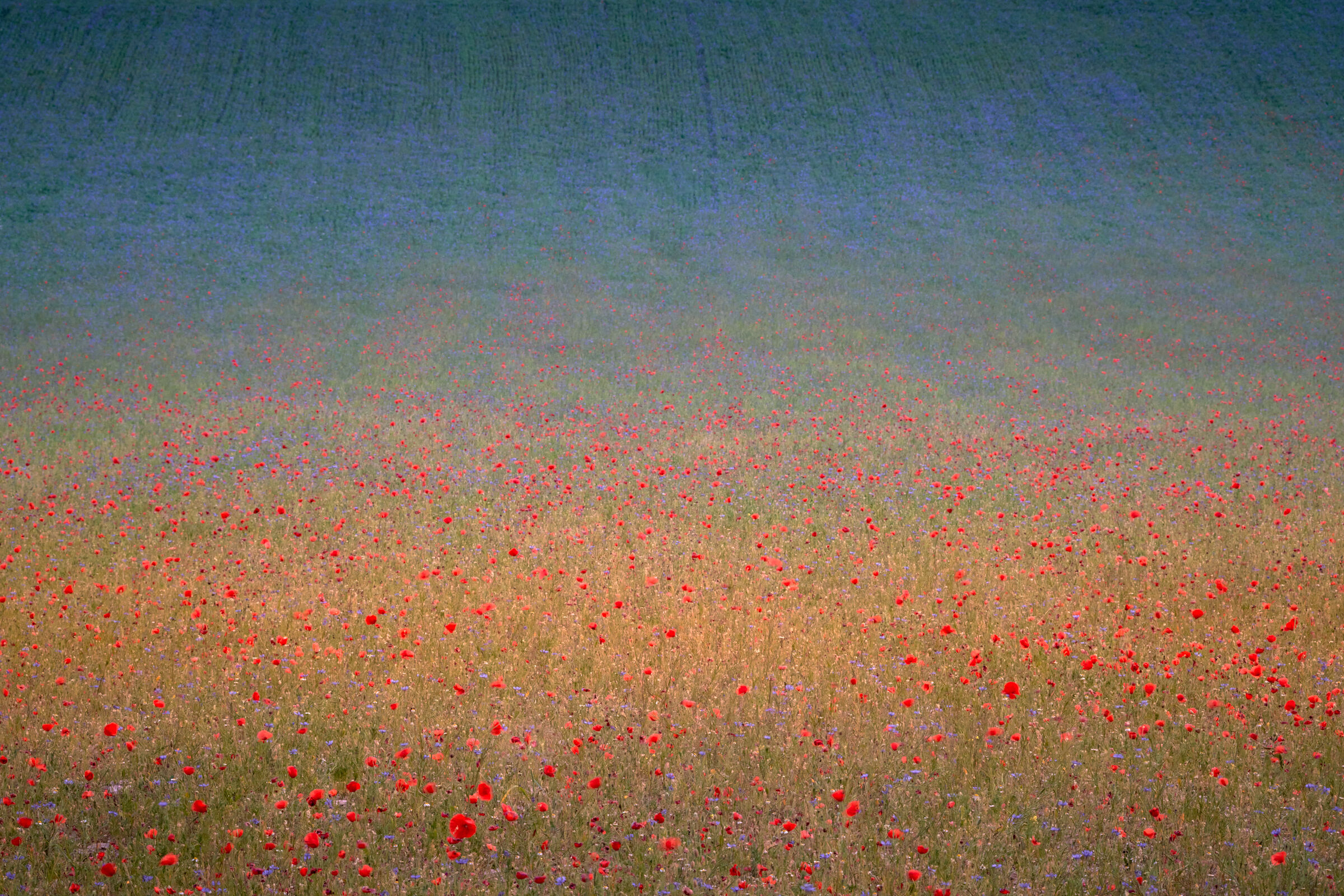 Impressionismo a Castelluccio