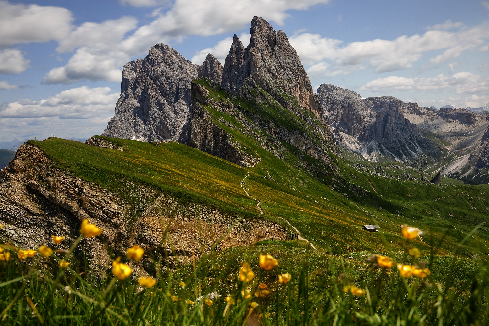 Cartolina dal Seceda