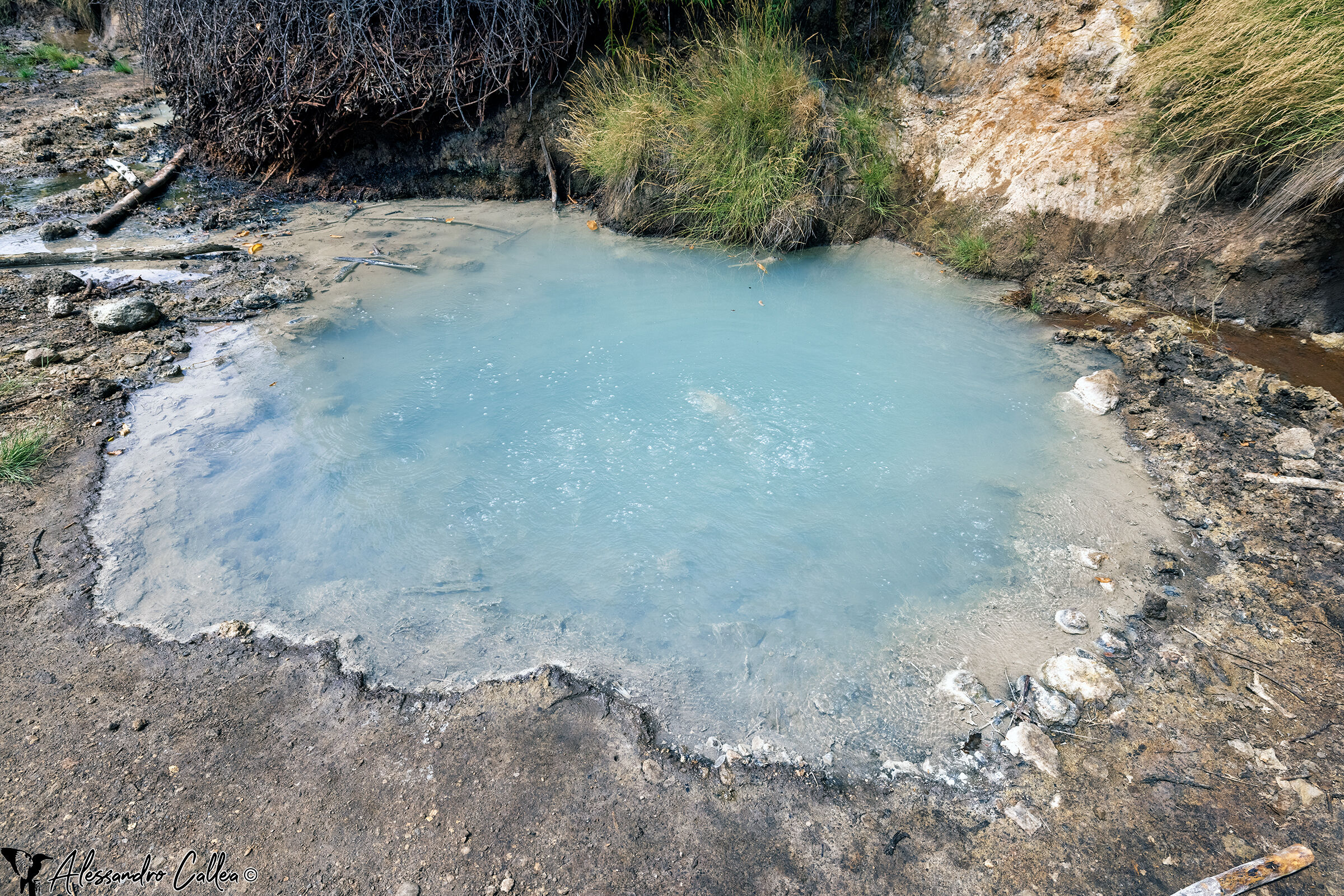 Una delle pozze presso la Solfatara (Antica Monterano)
