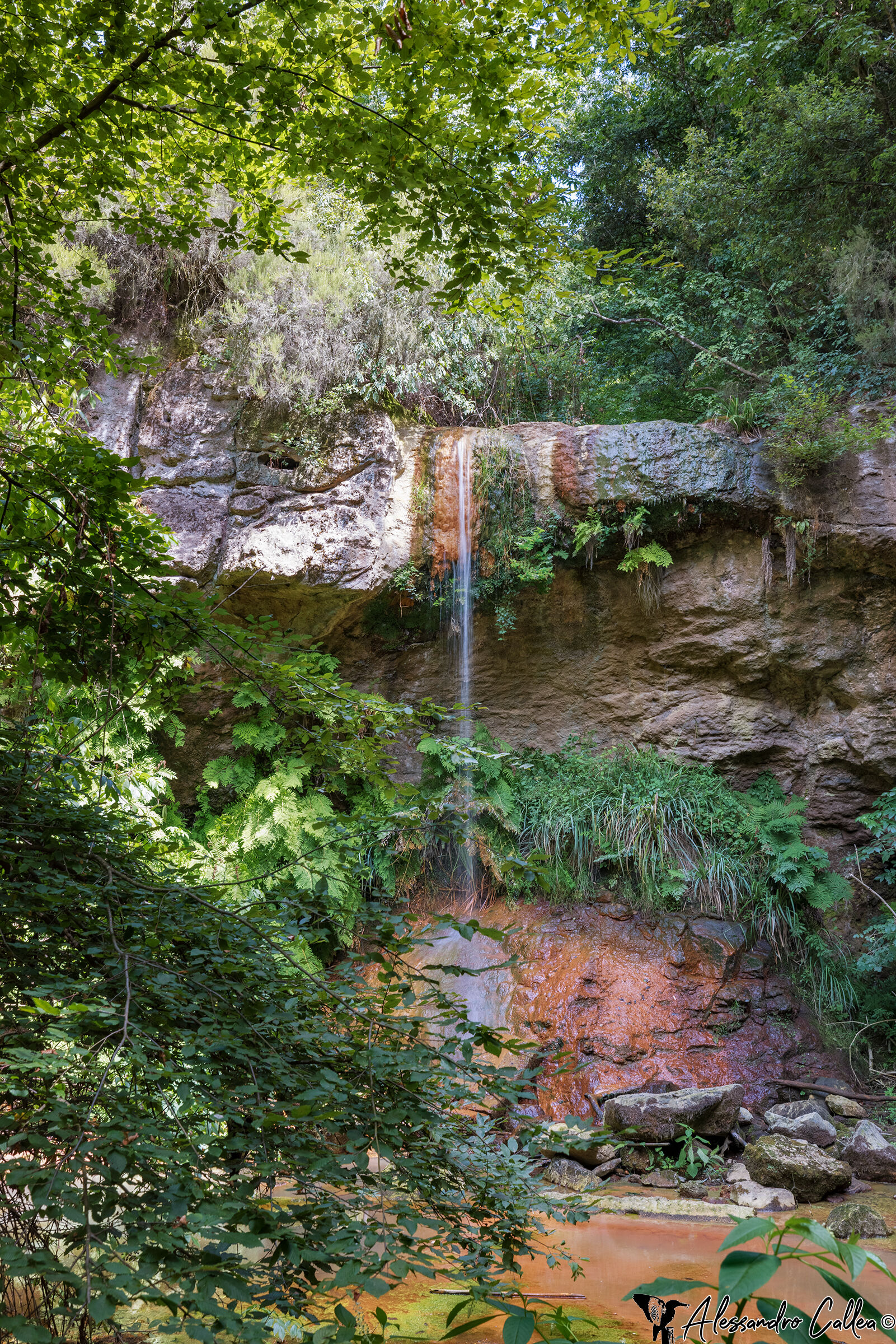 Cascata Diosilla