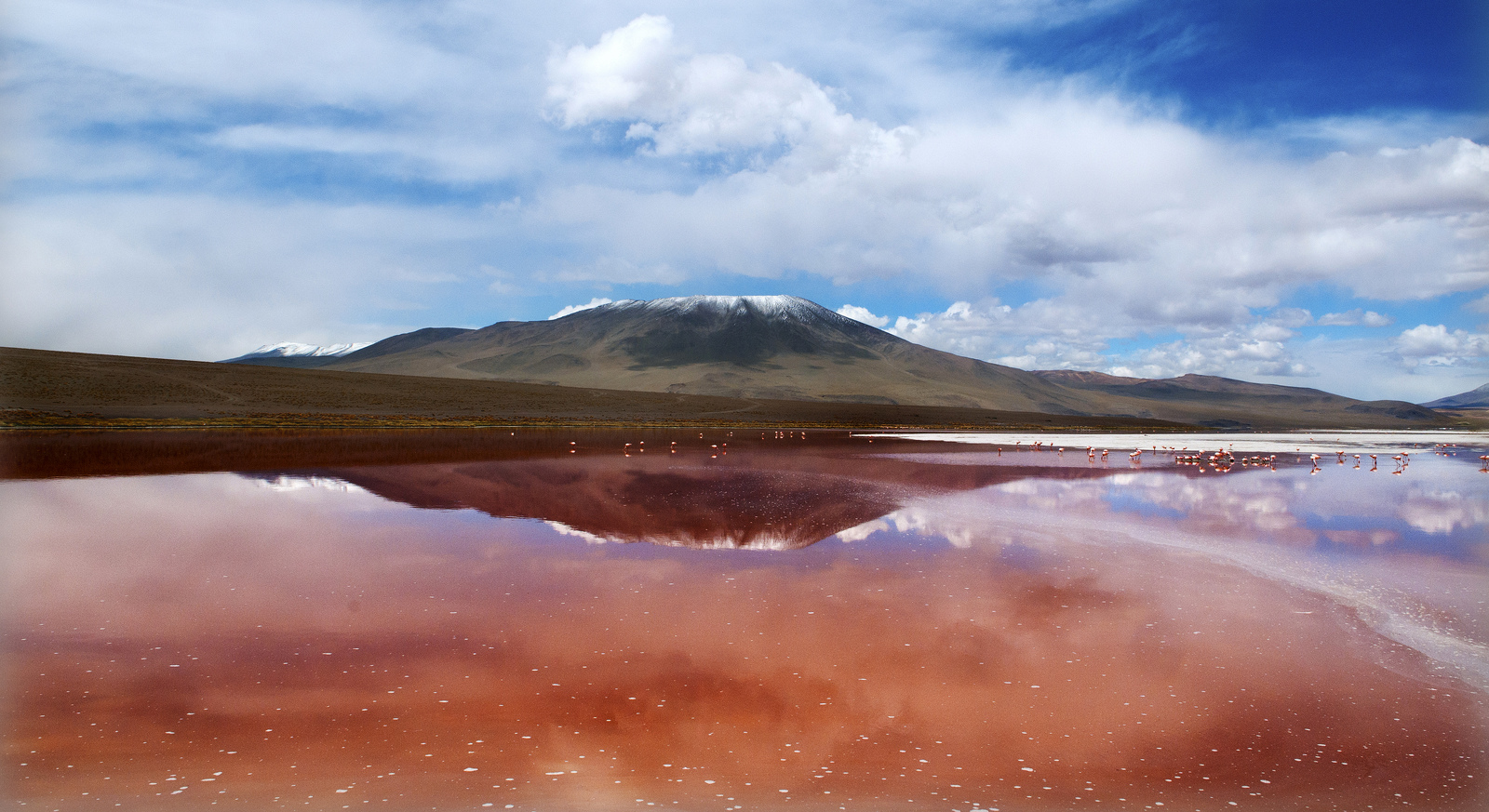 Laguna colorada
