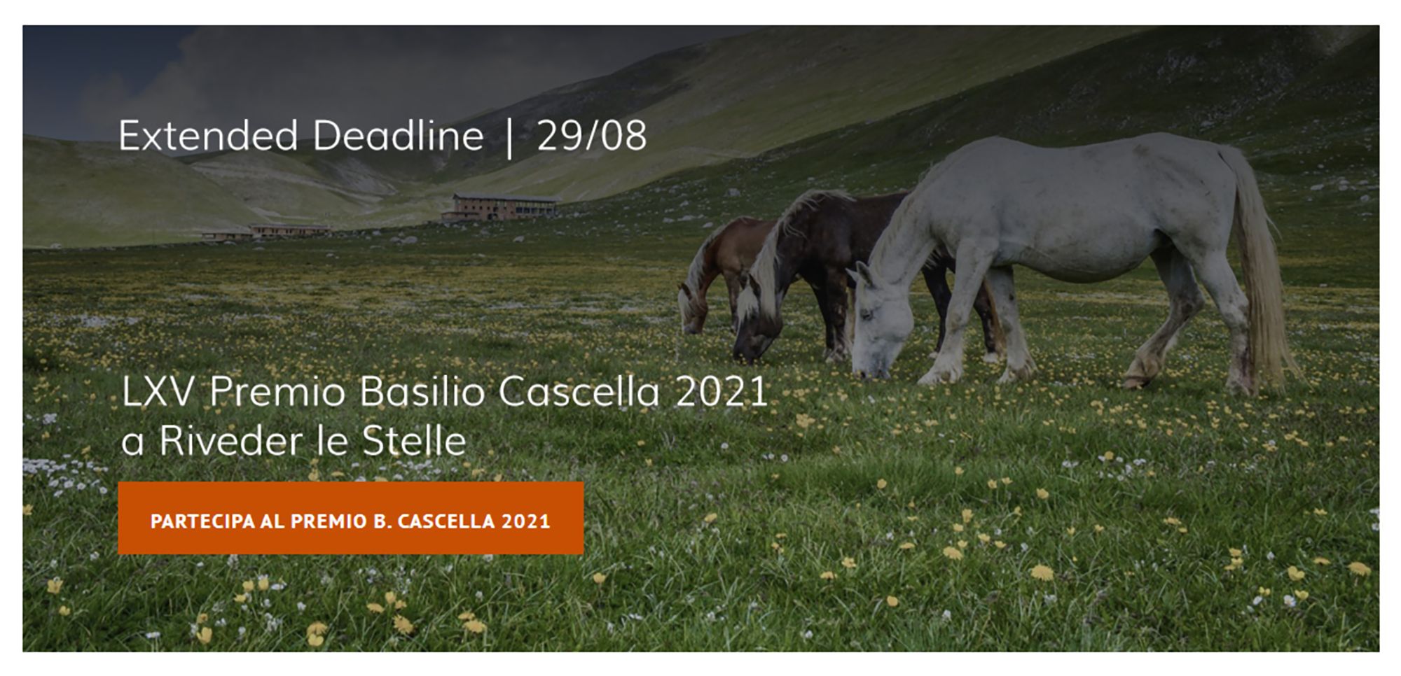 Premio Basilio Cascella 2021 - Alessandro Passerini