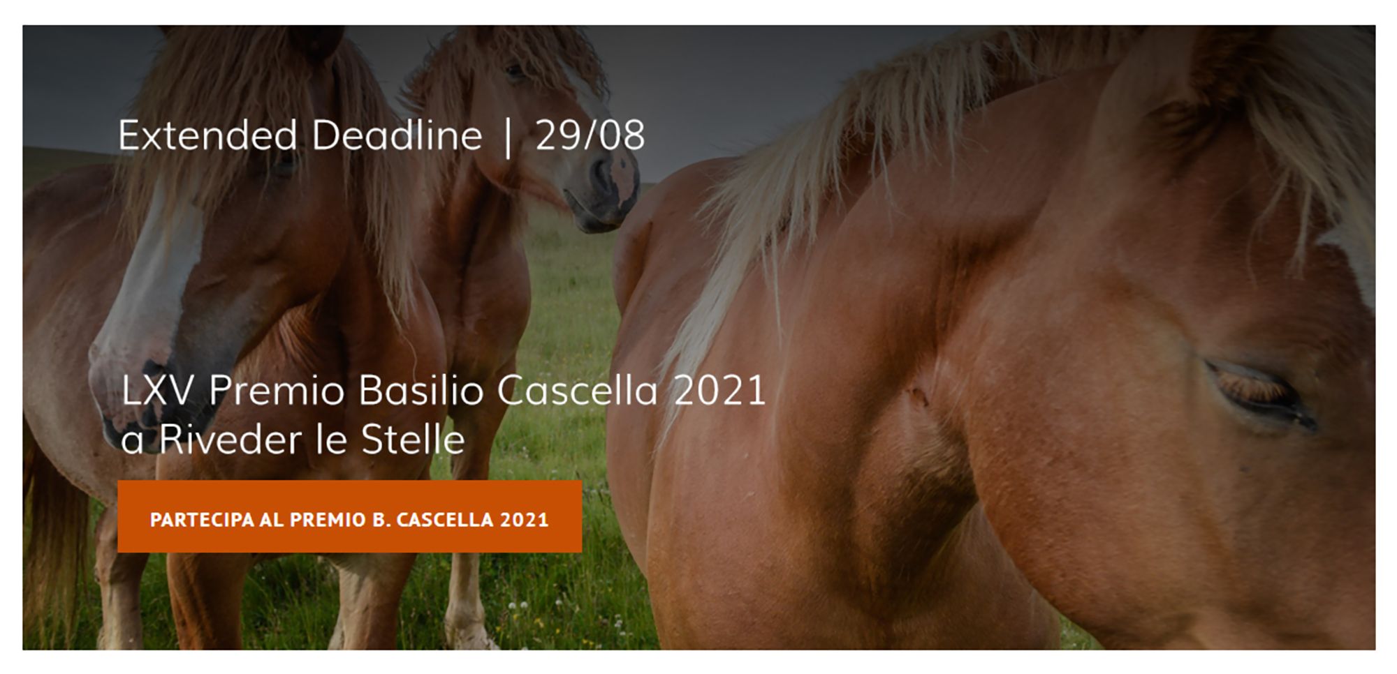 Premio Basilio Cascella 2021 - Alessandro Passerini