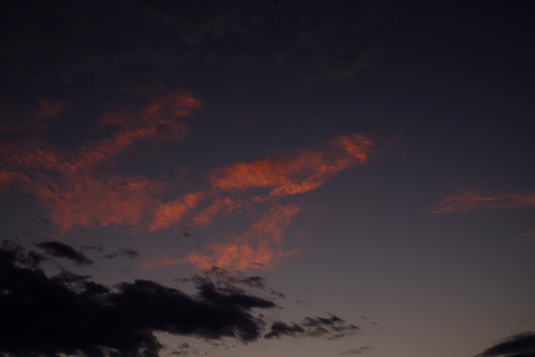 Tramonto al nero di seppia e salmone
