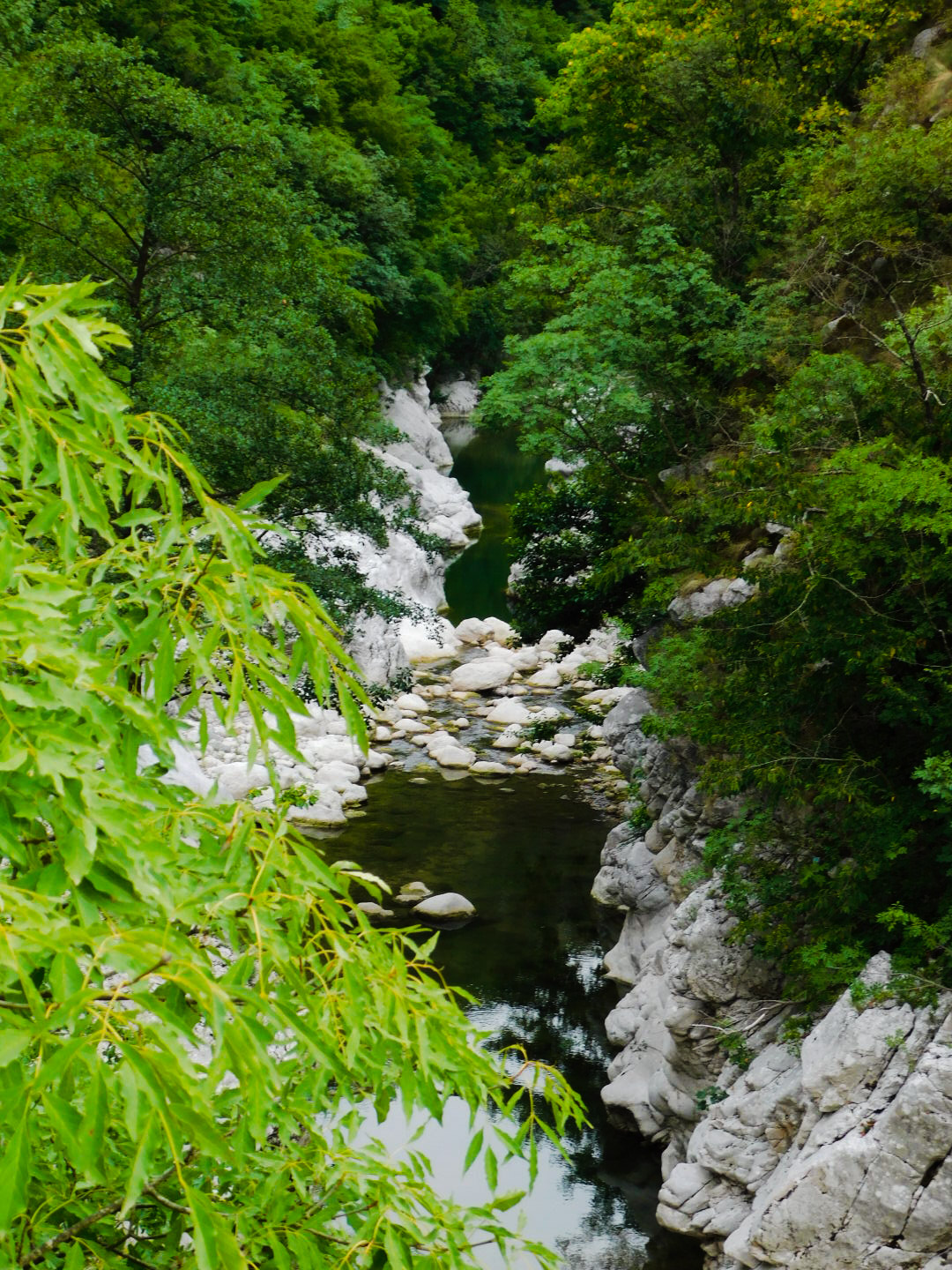 Untitled Photo