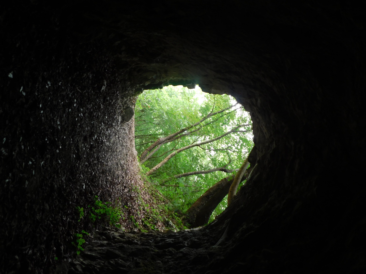 Untitled Photo