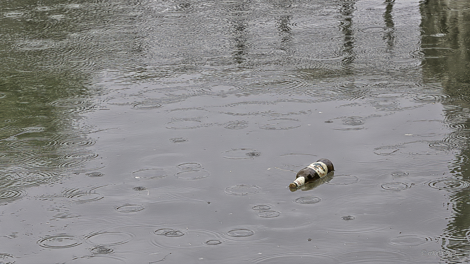 Duck with a mustache... Drinker's oasis.