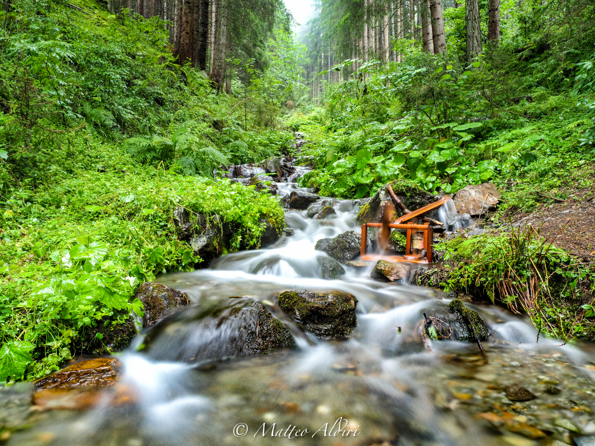 Nei boschi di anterselva