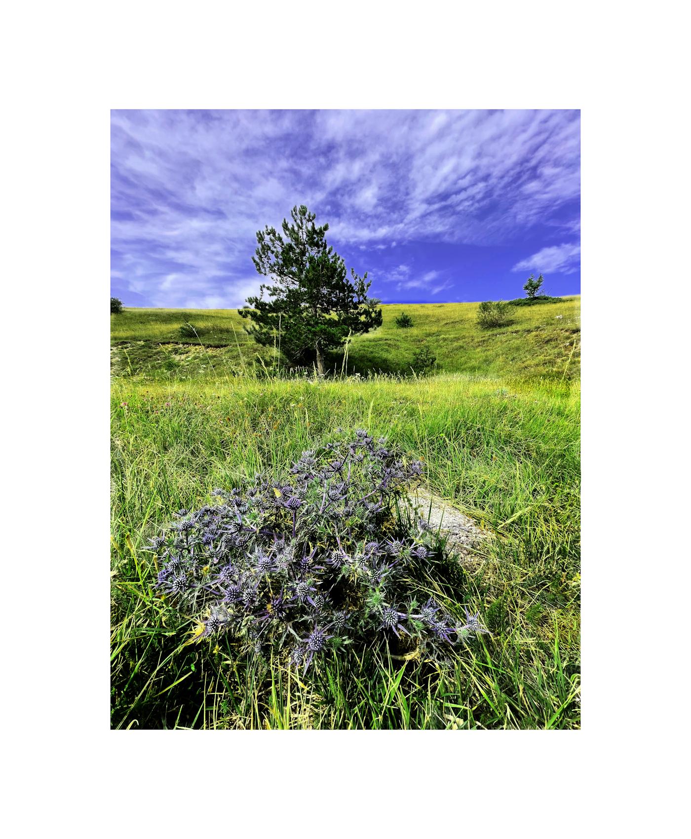 Direction "Campo Imperatore"