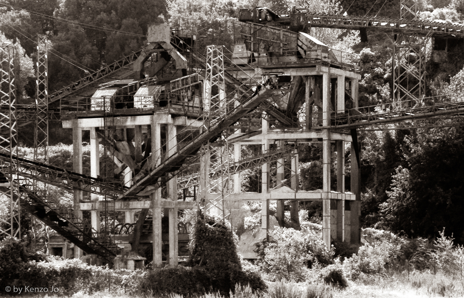 A skeleton in the woods