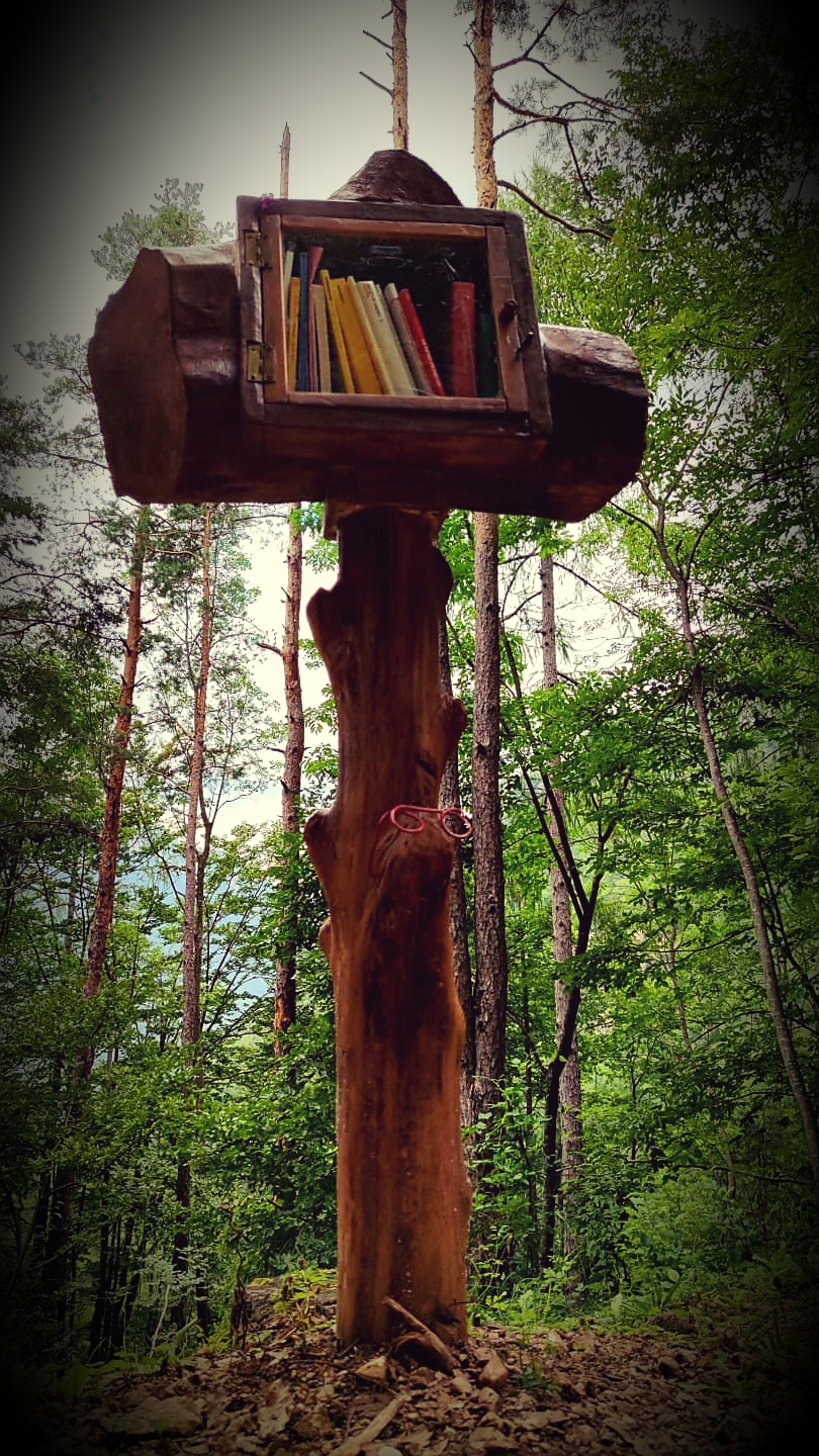 The library in the woods