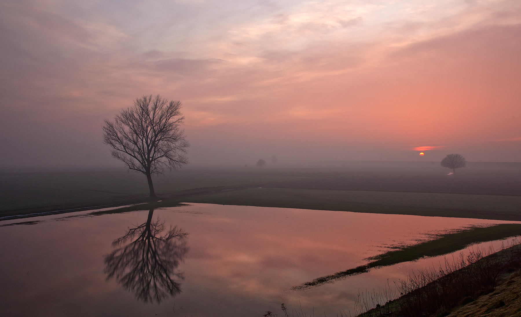 Alba nella bassa padana