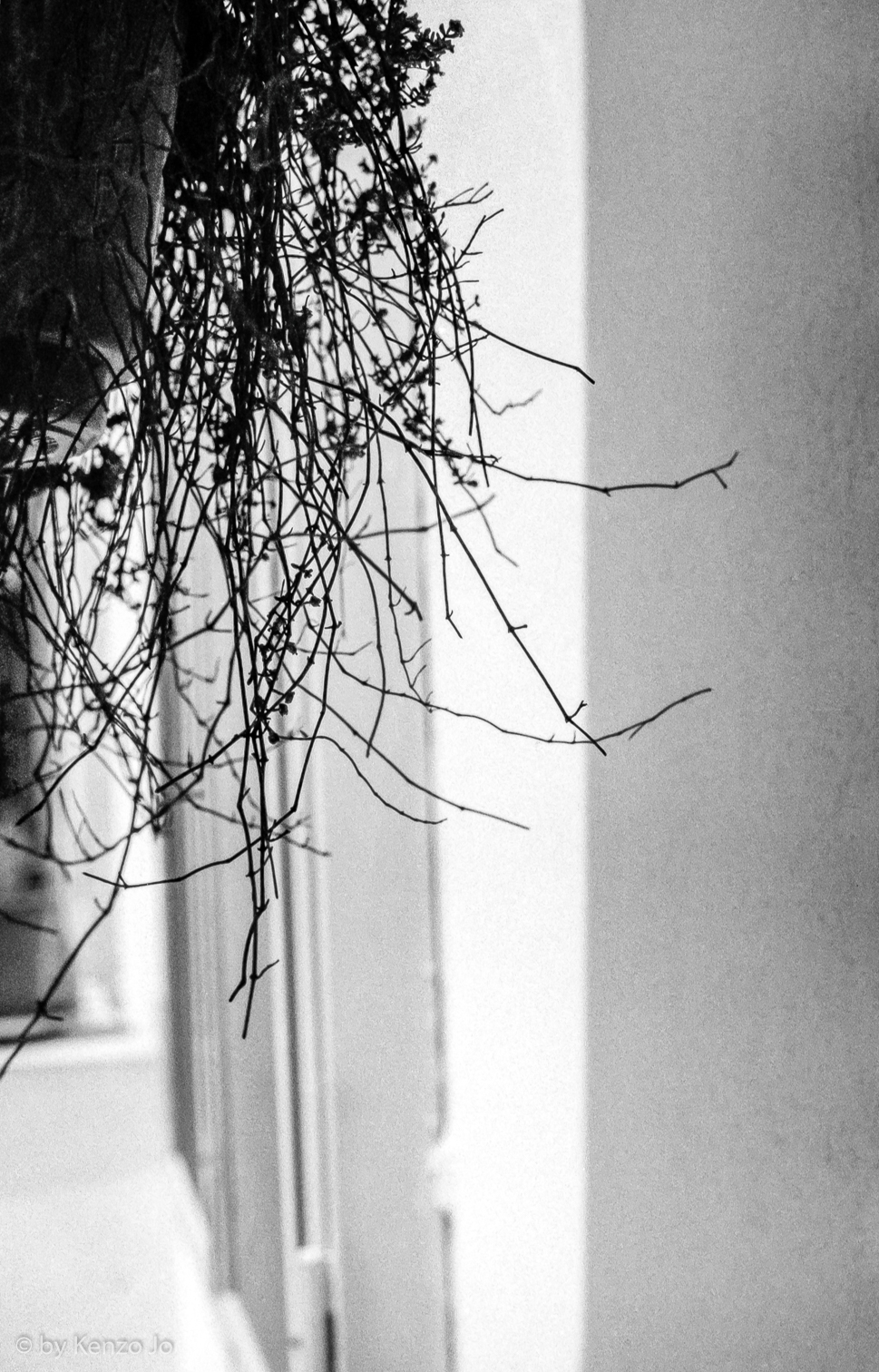 Dreaming of Bresson...