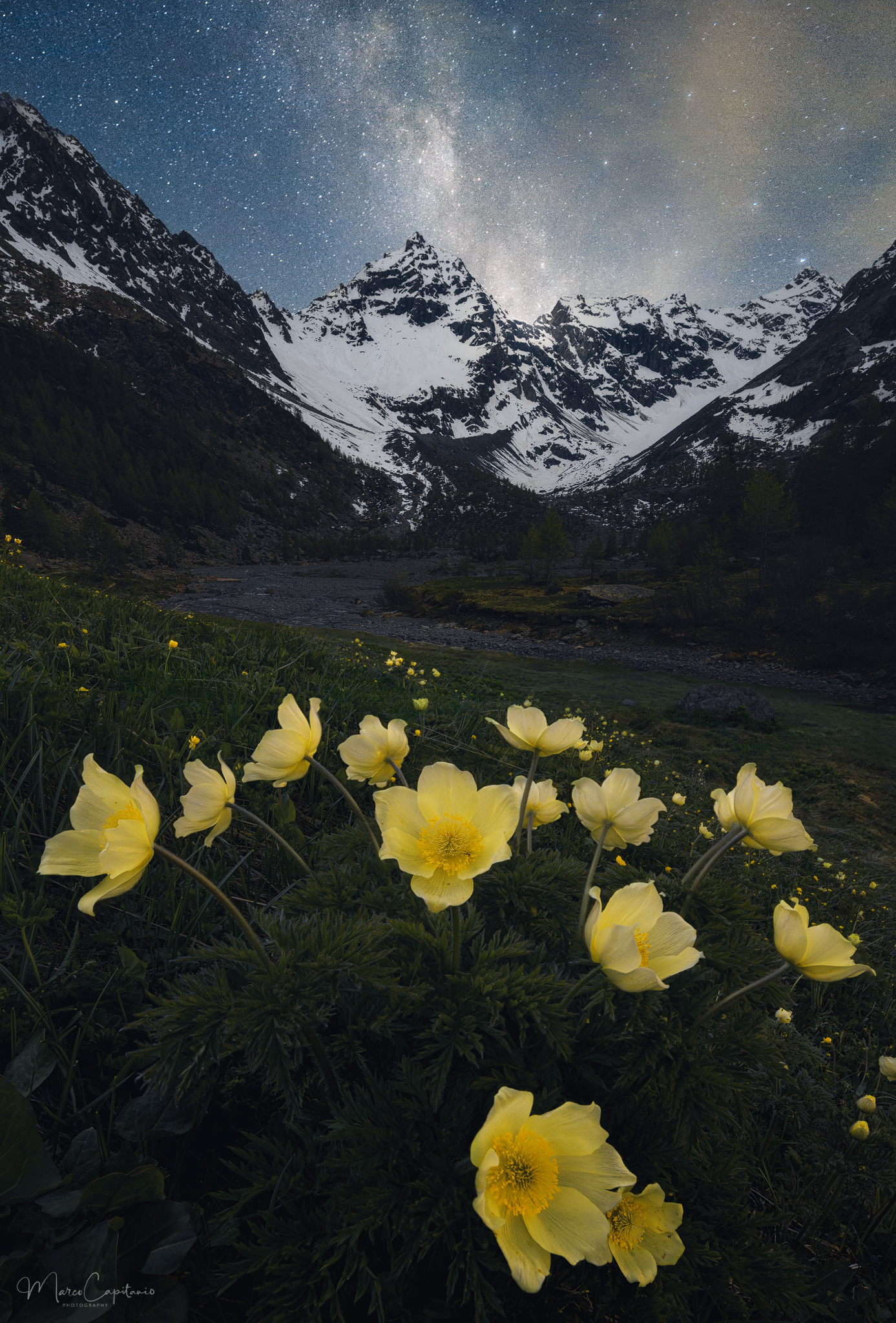 Dreaming under the stars