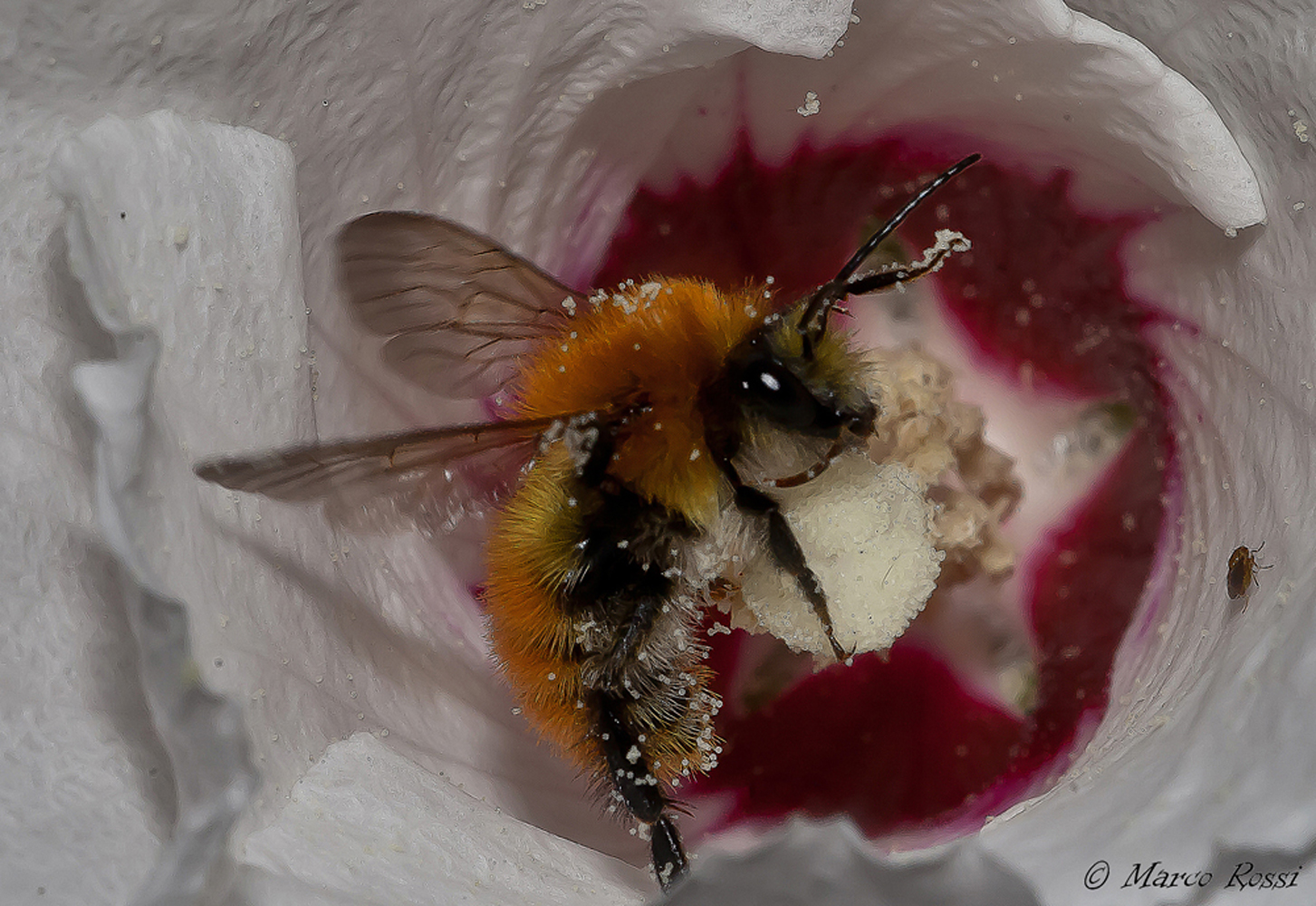 Passione per il lavoro