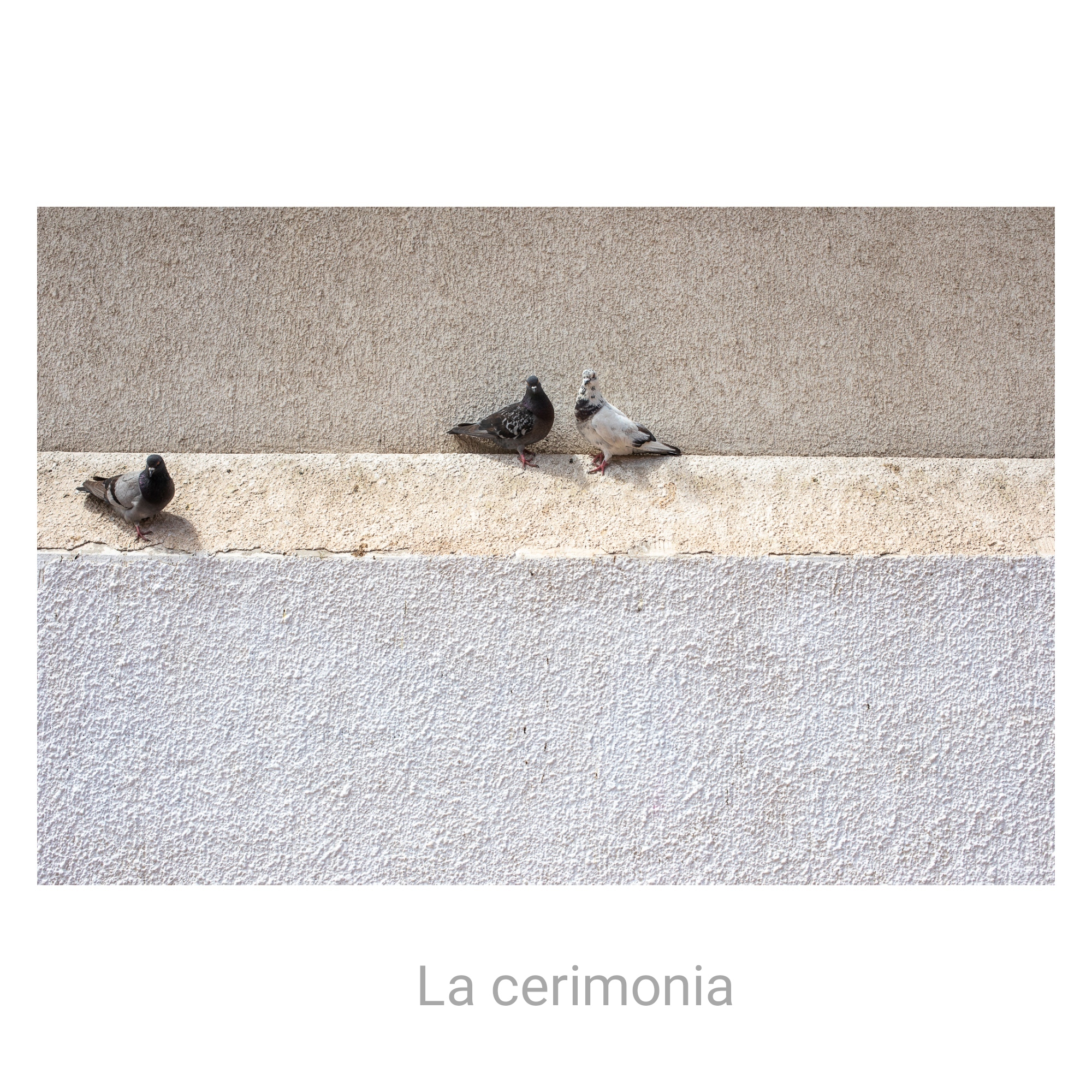 Scenes from a wedding