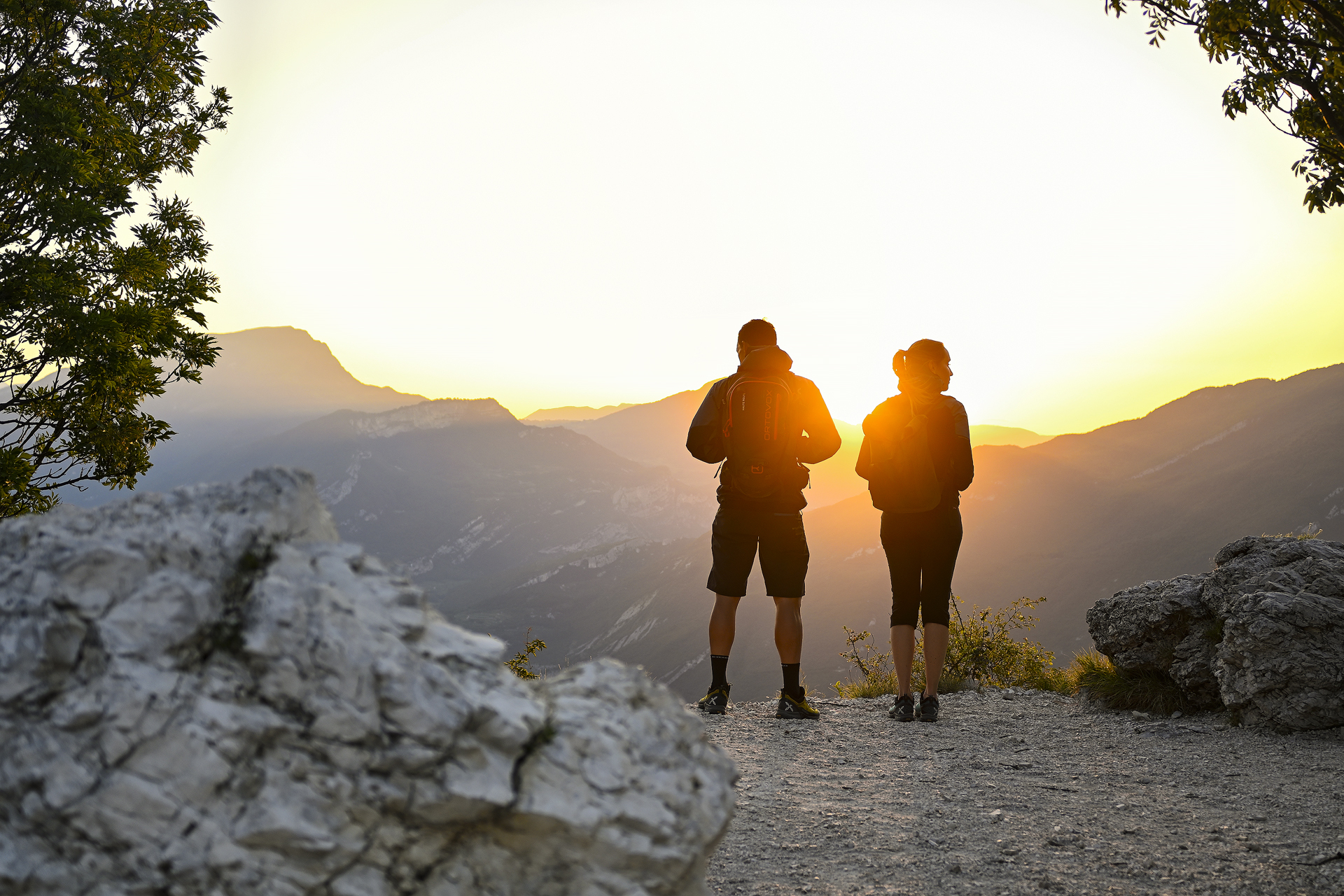 In controluce - Nikon Zfc