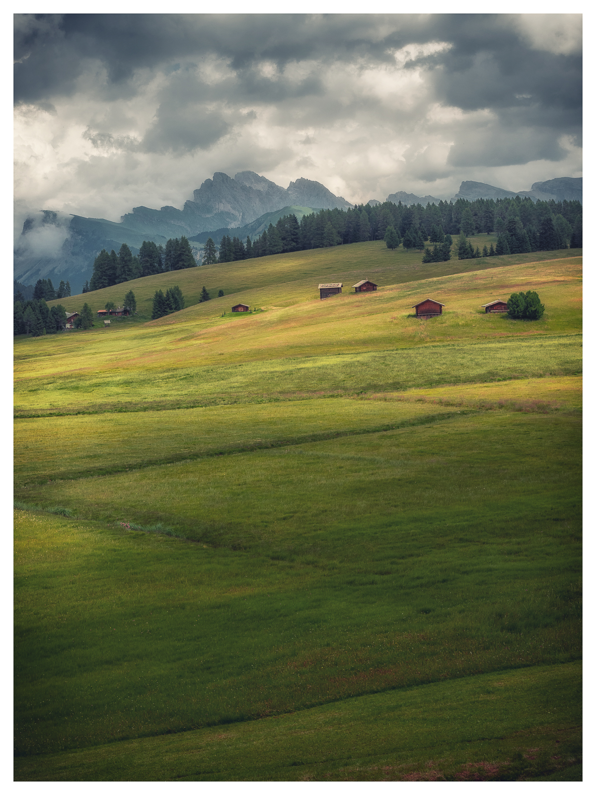 Alpe di Siusi