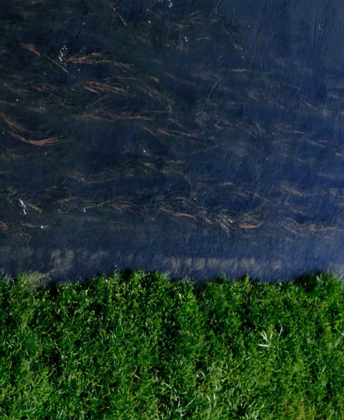 Rothko nature