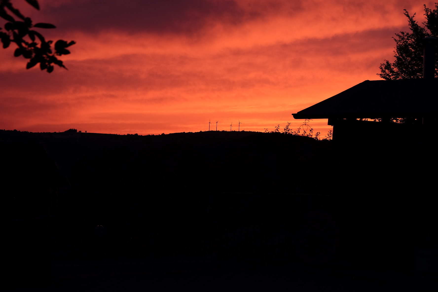 Untitled Photo