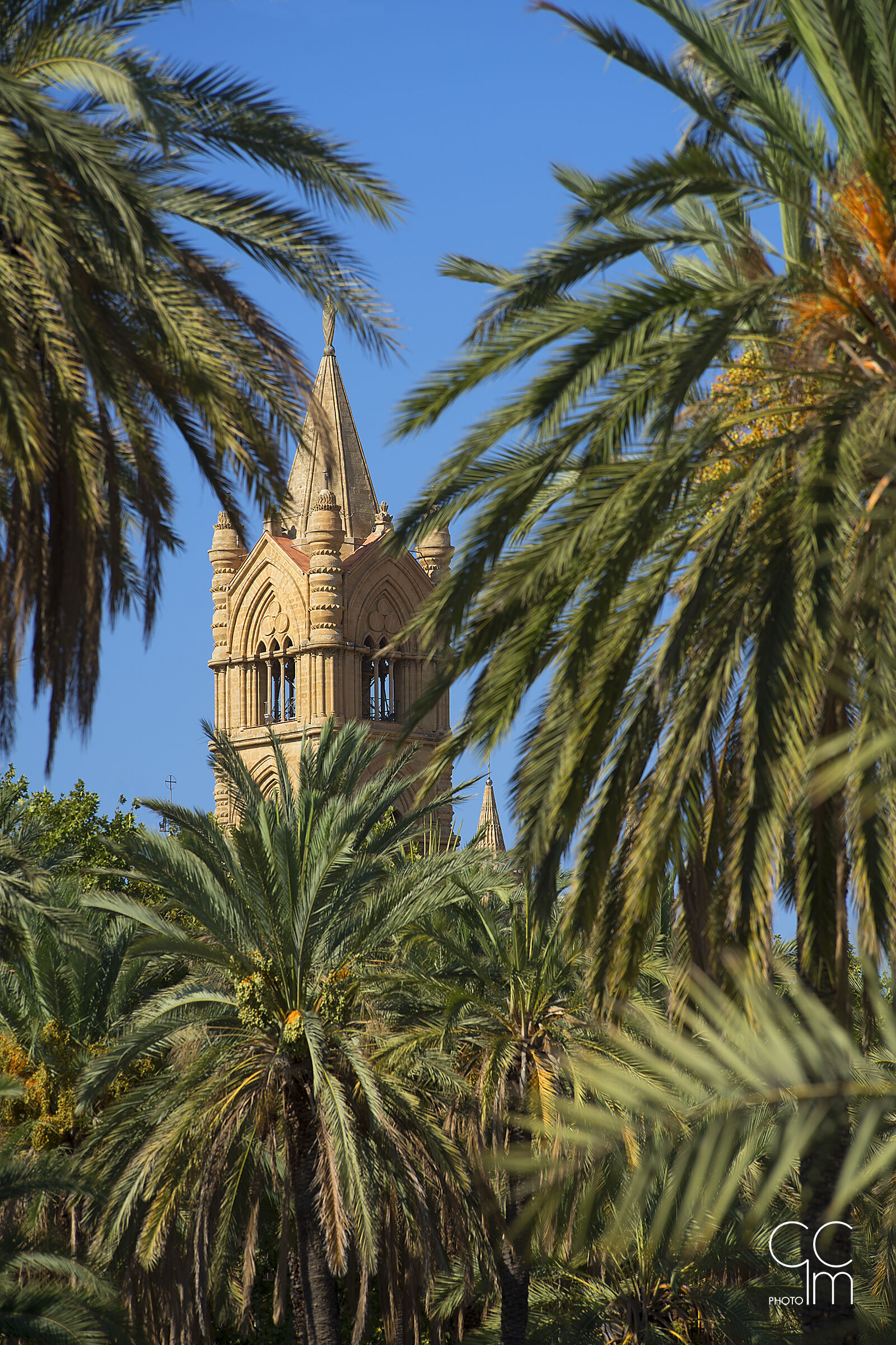 Palermo almost tropical...